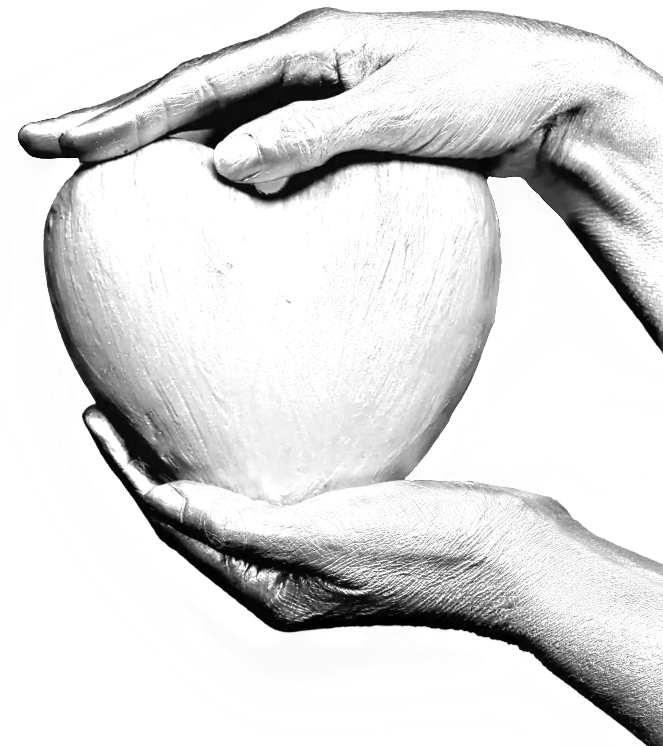 Black and white photo of two hands holding a heart like healing the heart.