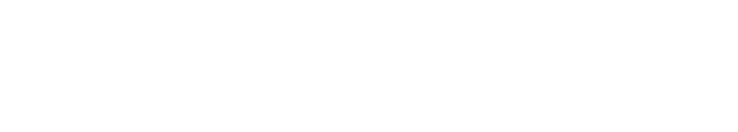 American Service Project