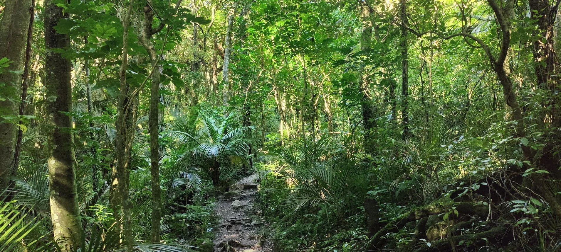 Want to run a trapline?