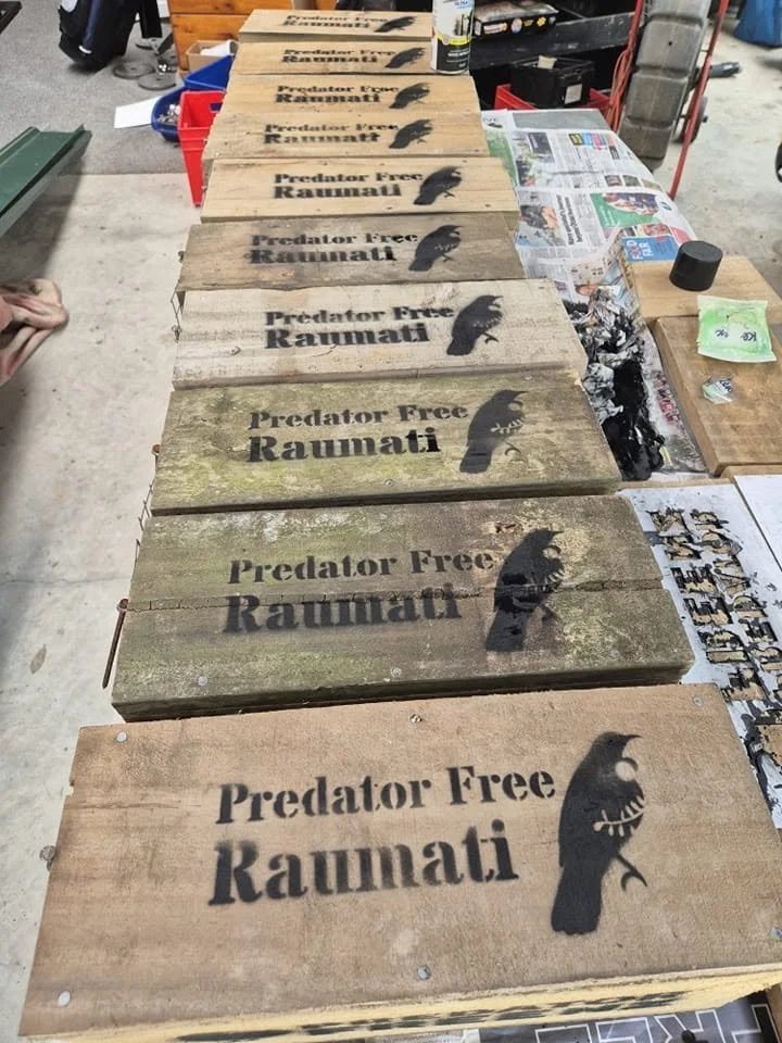 predator free raumati update