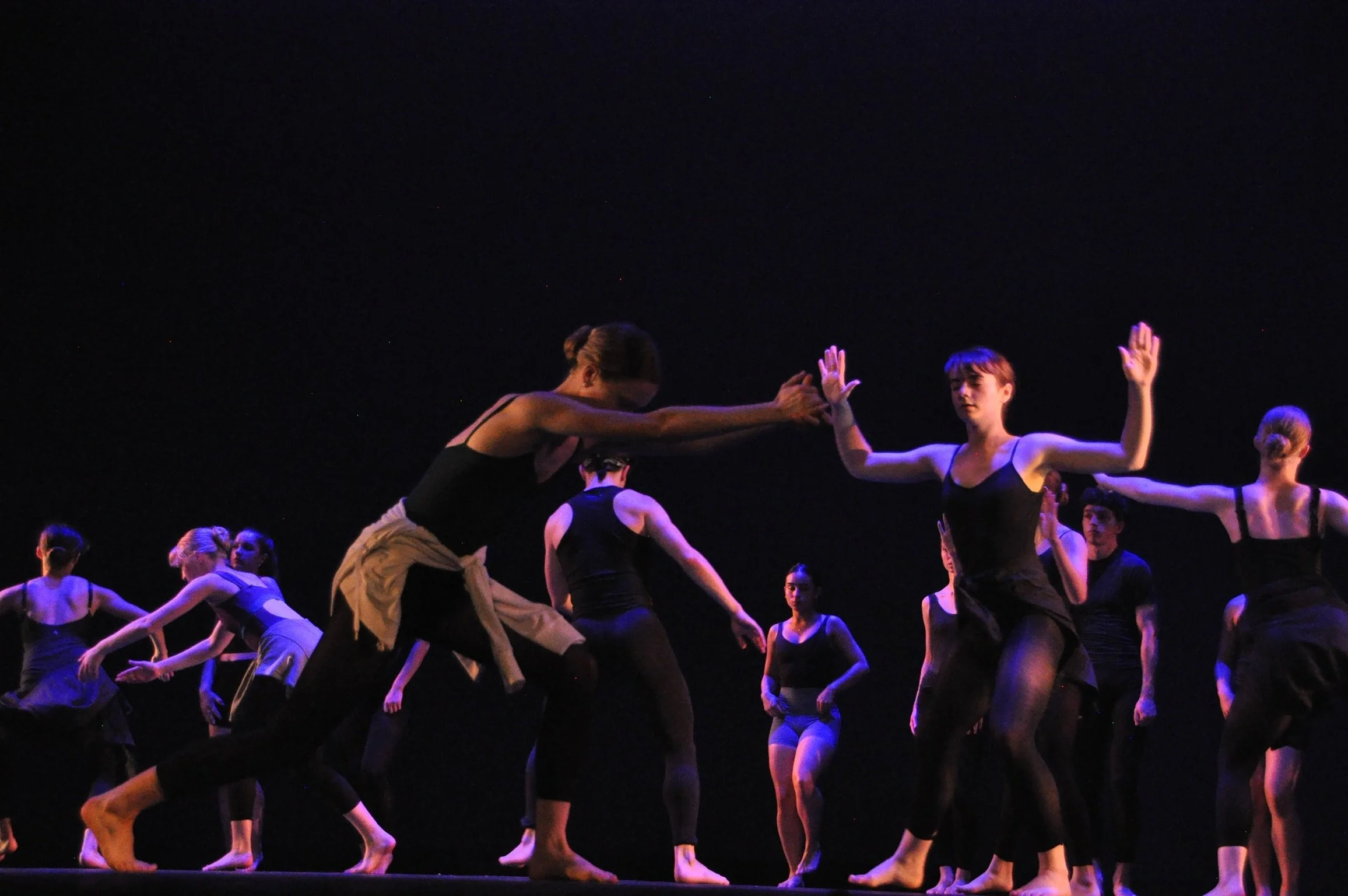DSC_0741_Original.JPG