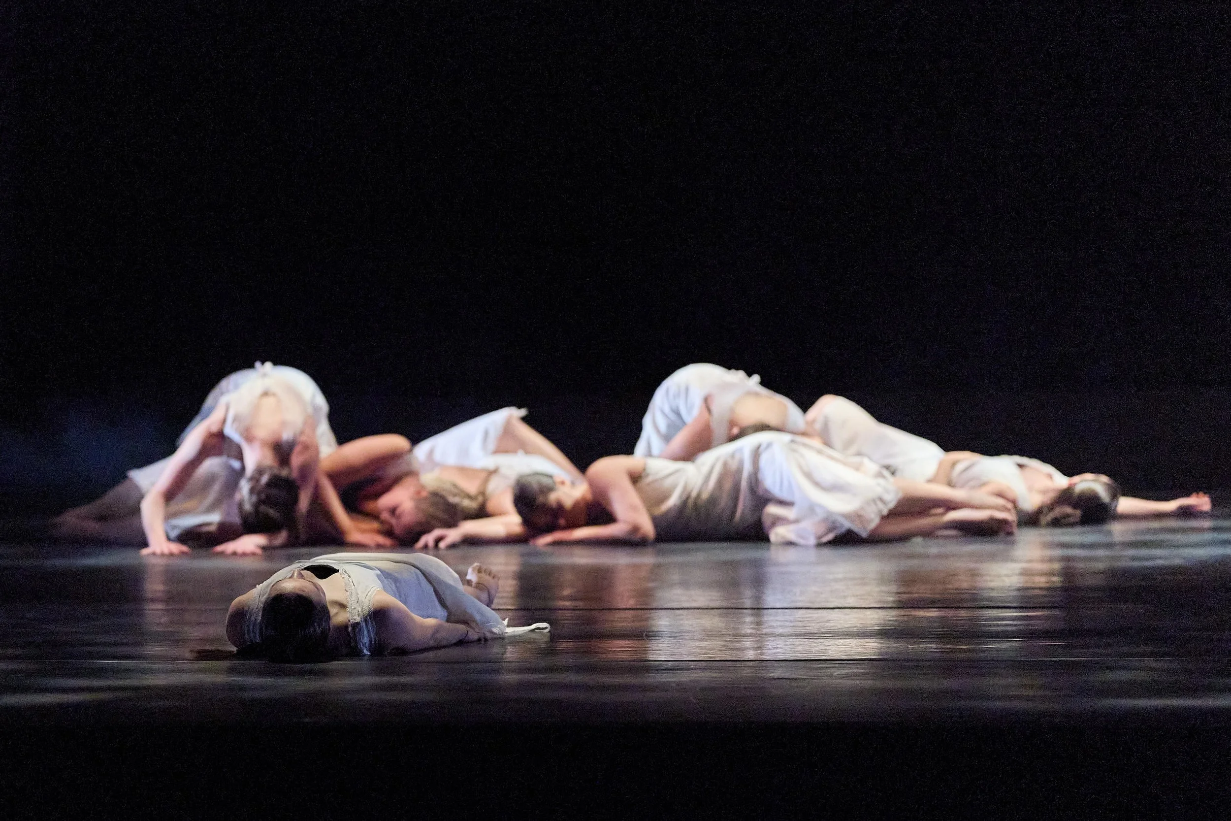 208_YCS_Sat Matinee_20260131_TC.jpg