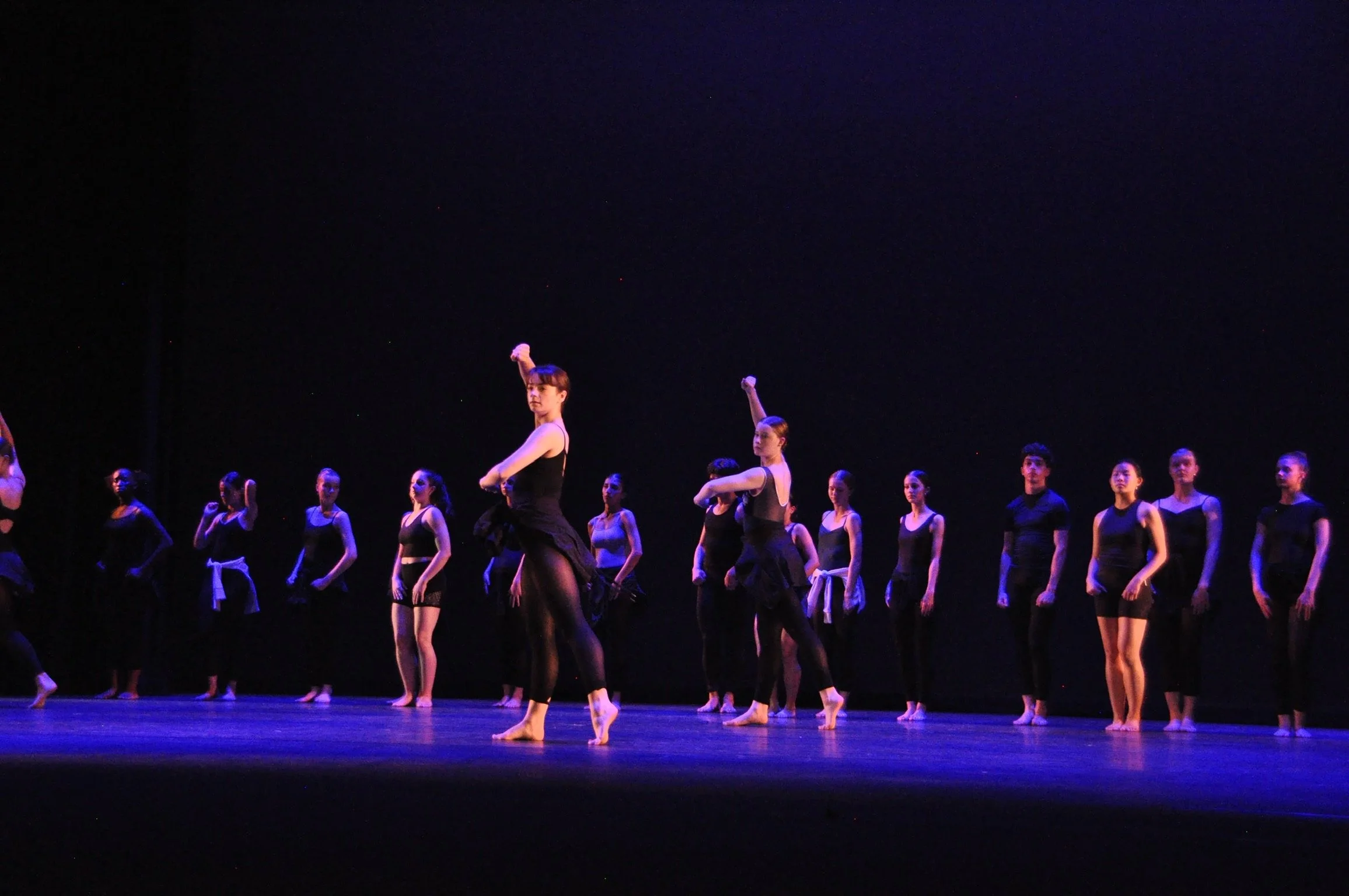 DSC_0731_Original.JPG