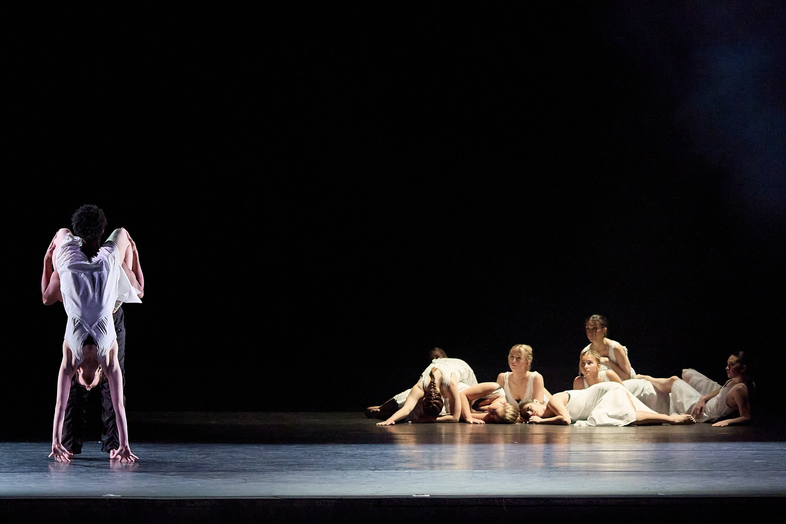 241_YCS_Sat Matinee_20260131_TC.jpg