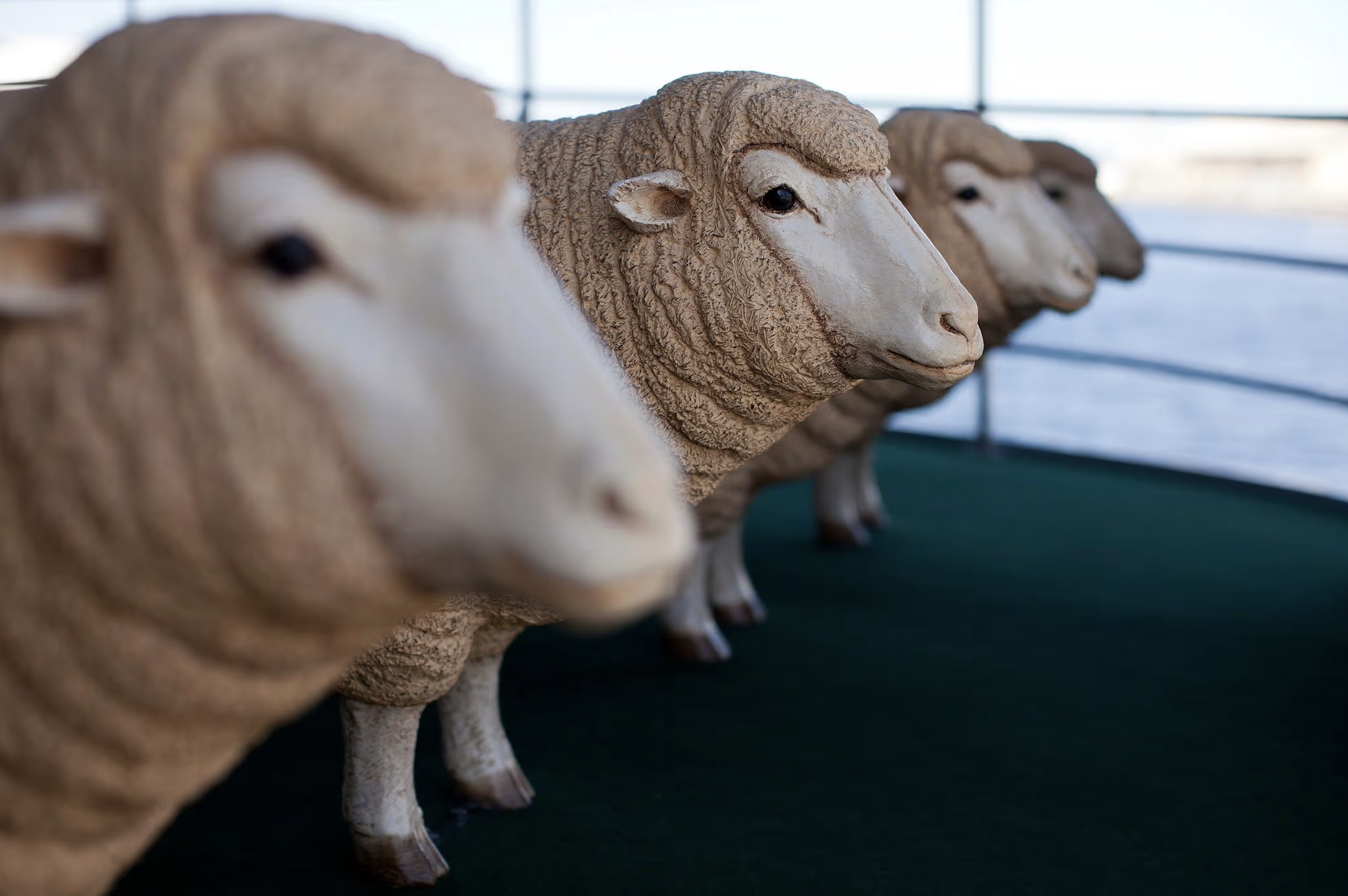 Screenshot 2025-11-28 at 5.03.18 pm.png