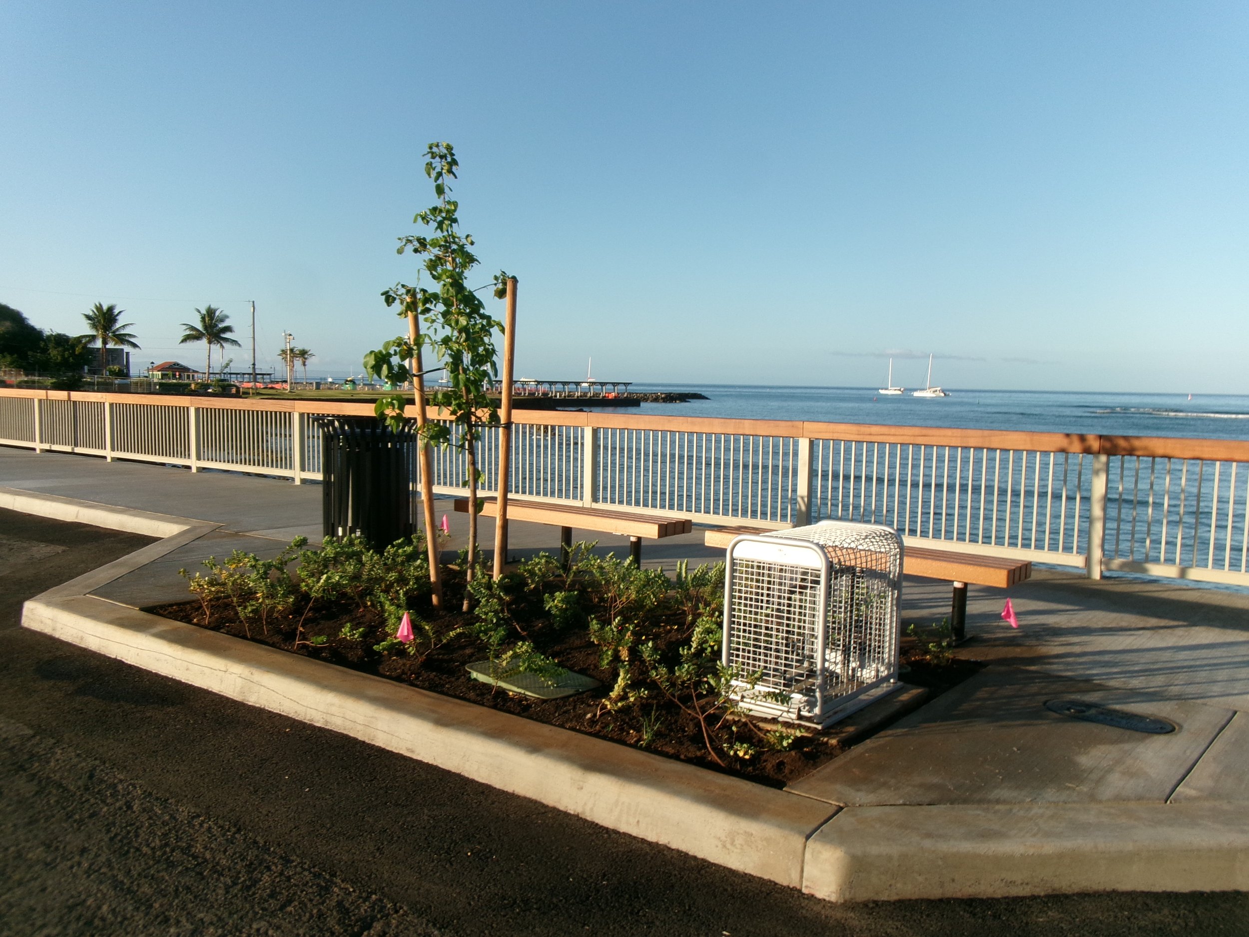 Lahaina Front St - Landscape Planter.JPG