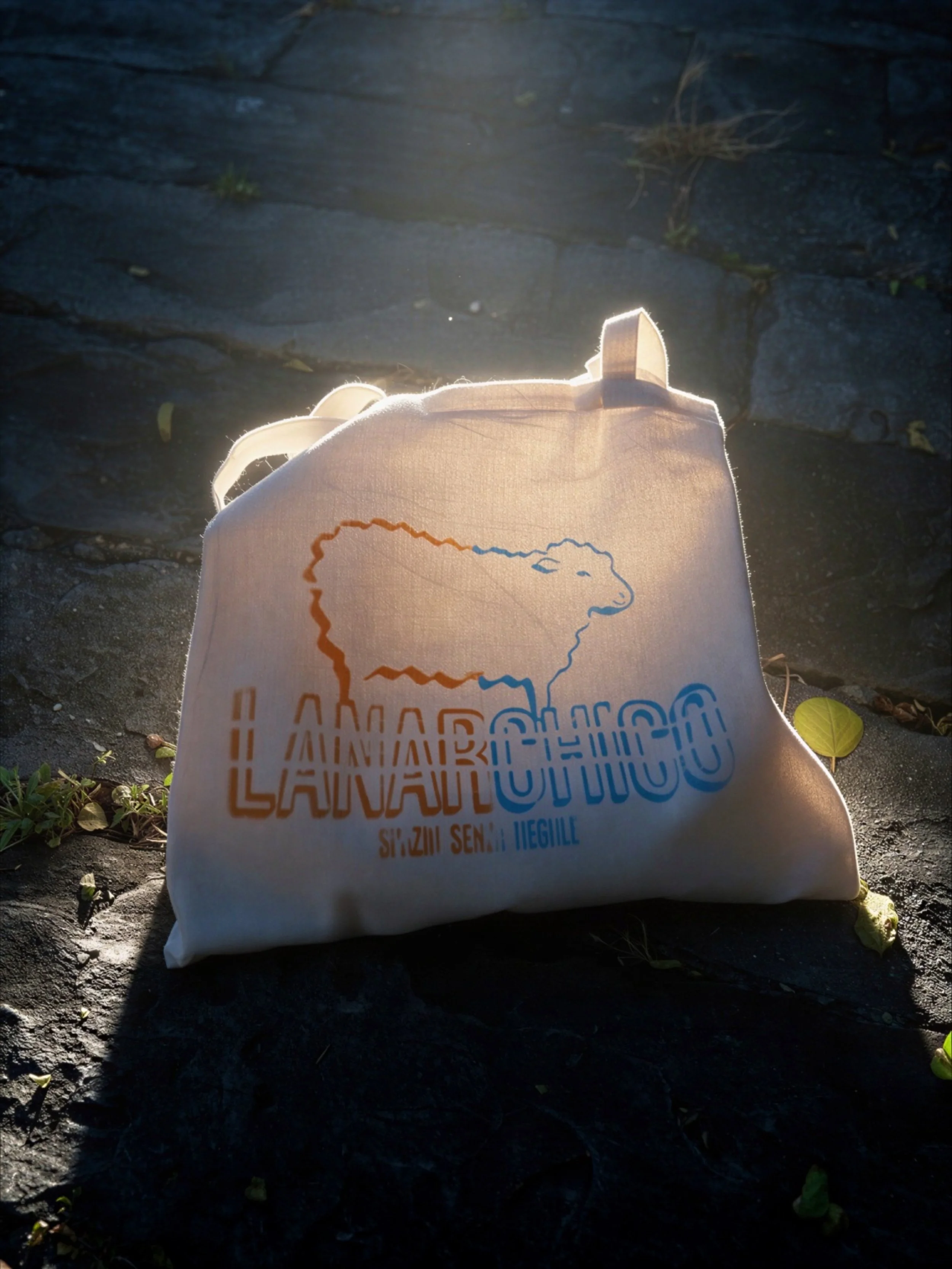 tote bag shopper arte contemporanea lanarchico prato by marco biscardi firenze 2026.JPG