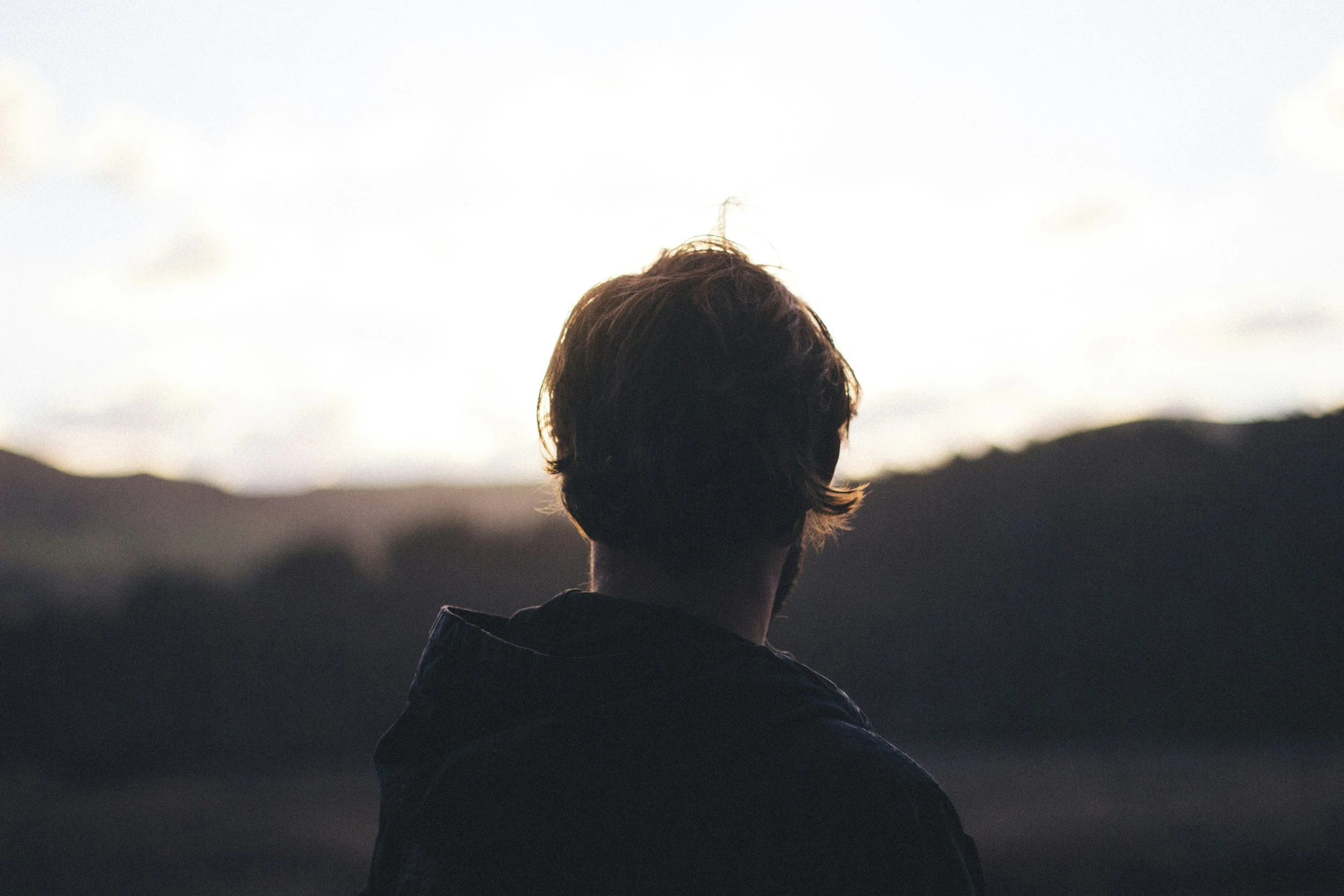 Person with brown hair looking out over a landscape with hills at sunset or sunrise