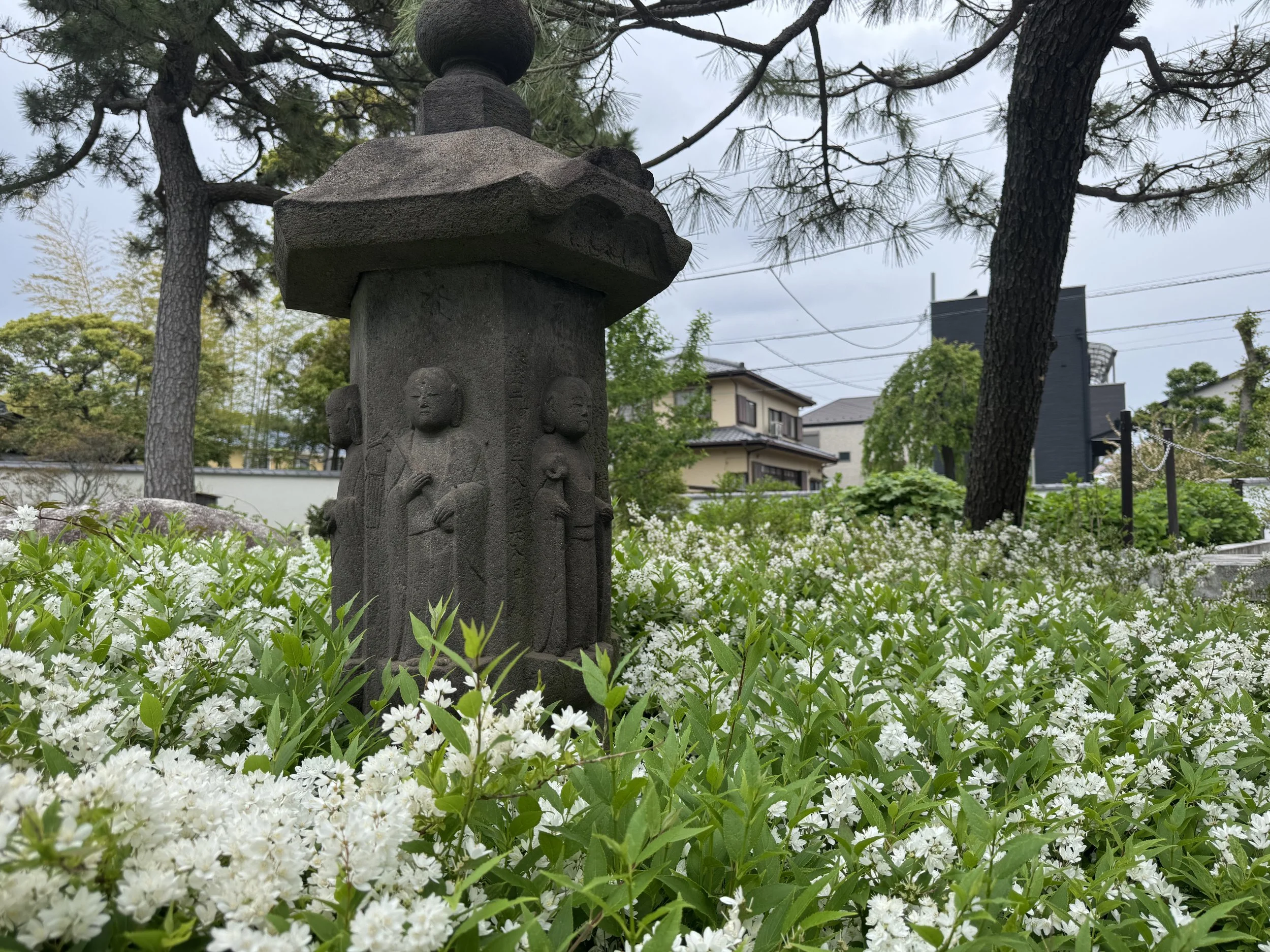 IMG_5157.jpeg