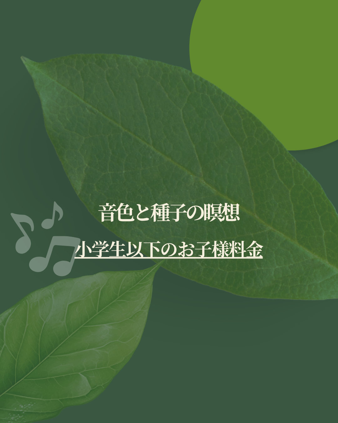 音色と種子の瞑想20260725 (小学生以下お子様)