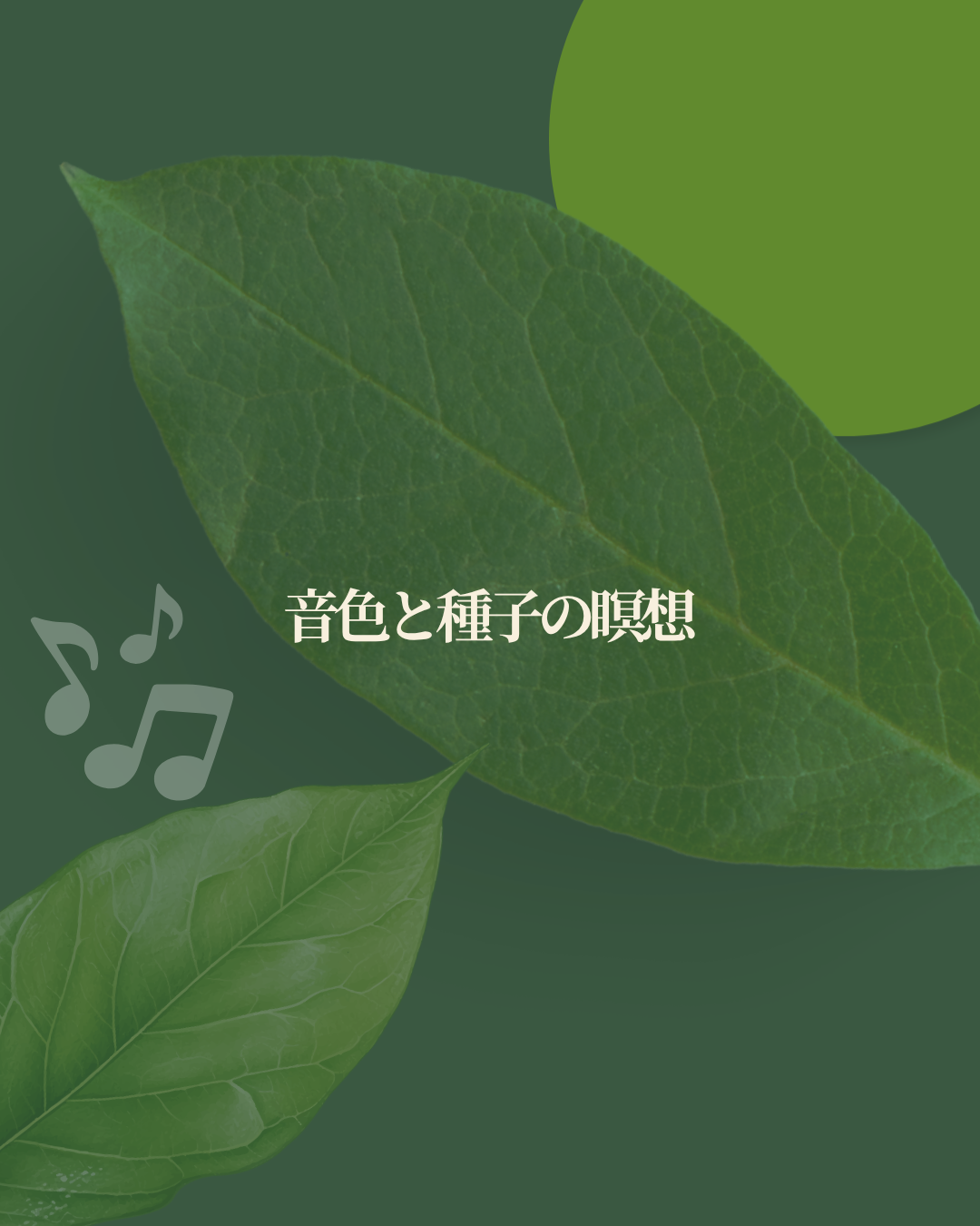 音色と種子の瞑想