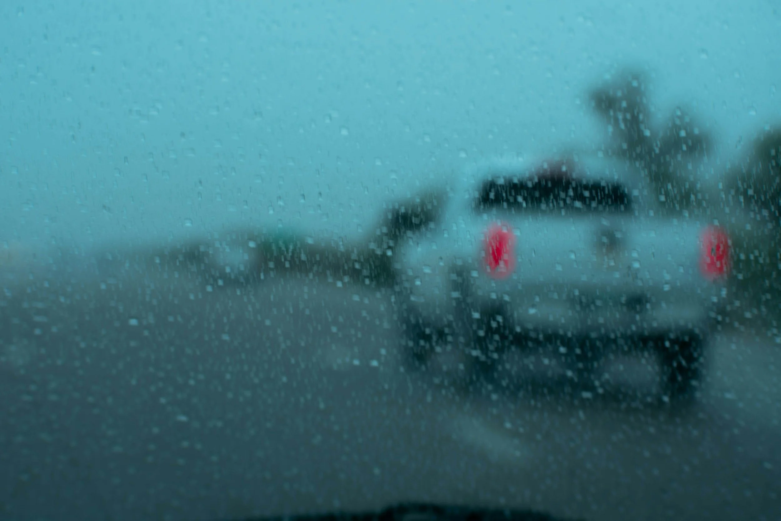 Windows cleaned inside and out with water repellant treatments available