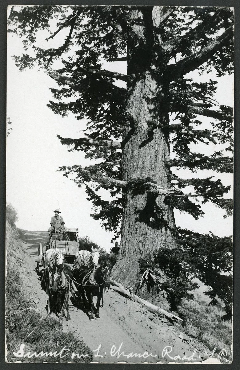 Last Chance Road.jpg