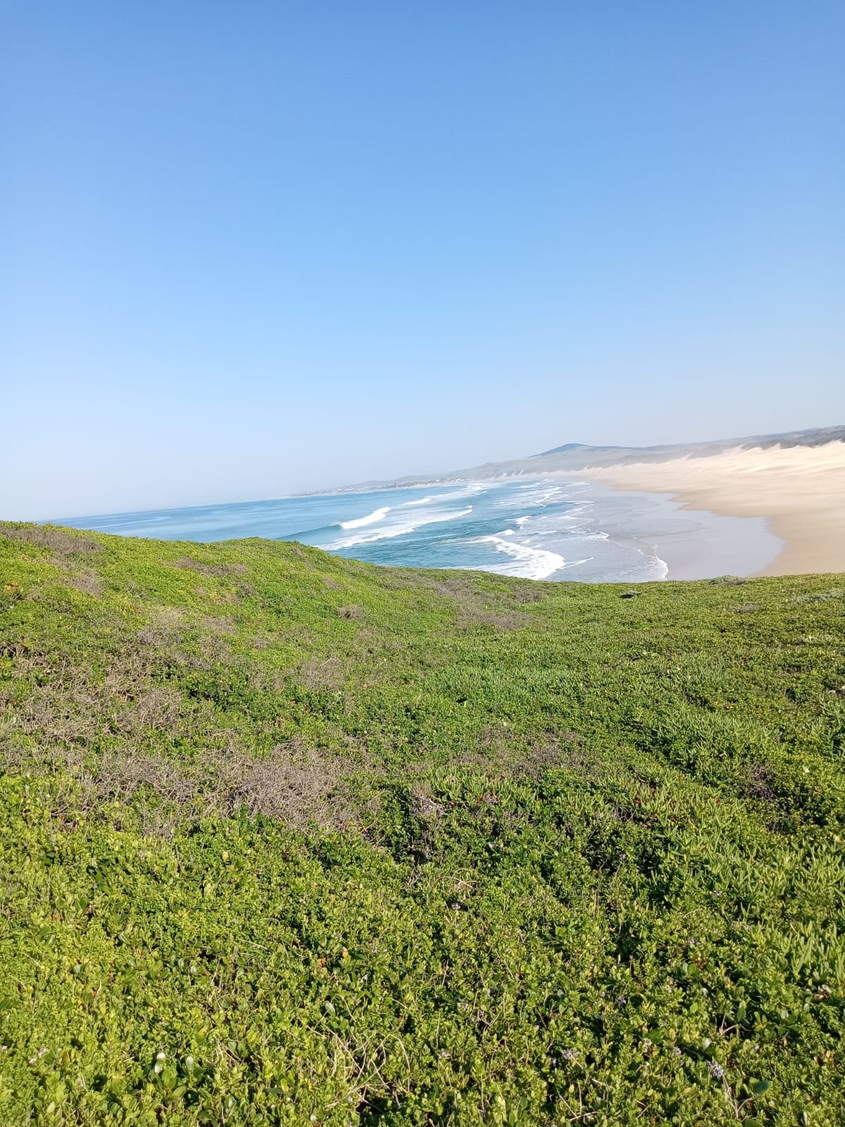 Alexandria Dune Fields, Alexandria, Eastern Cape, South Africa