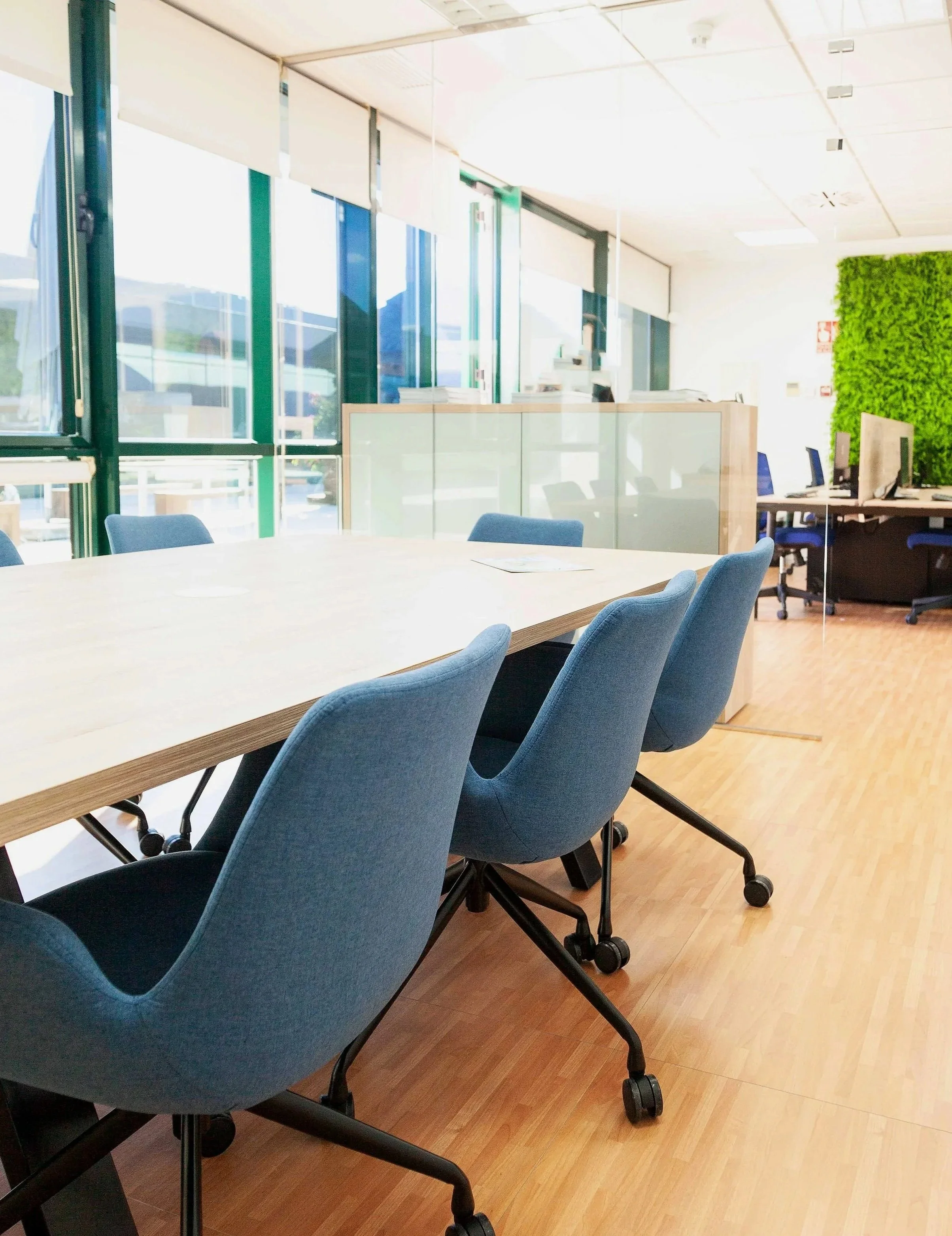 A modern office space with blue chairs around a light wood conference table. Large windows letting in natural light, with blinds and a green plant wall in the background.