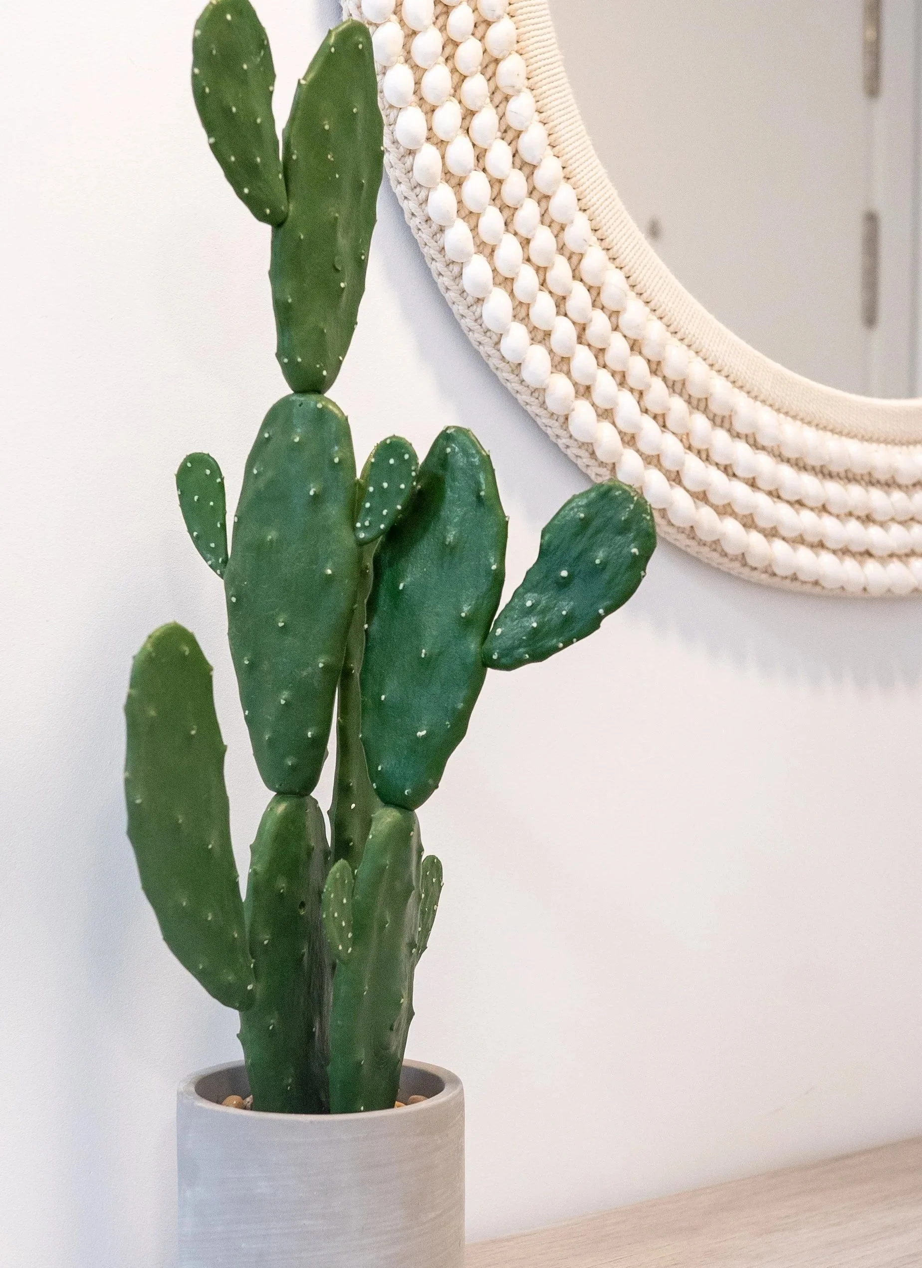 A potted cactus plant with multiple green pads and small white dots, placed on a light-colored wooden surface, and a decorative wall mirror with shell embellishments in the background.