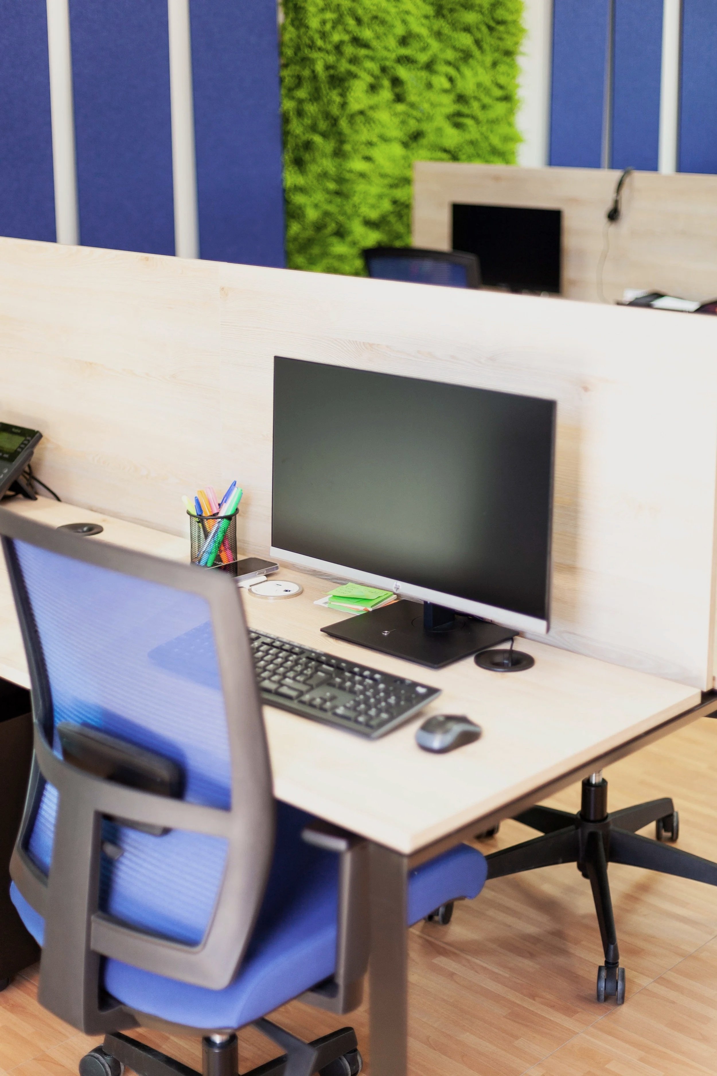 An office workspace with a wooden desk, computer, mouse, keyboard, and a gray office chair with a mesh back. Green plants are on a wooden divider and the background features blue and green wall panels.