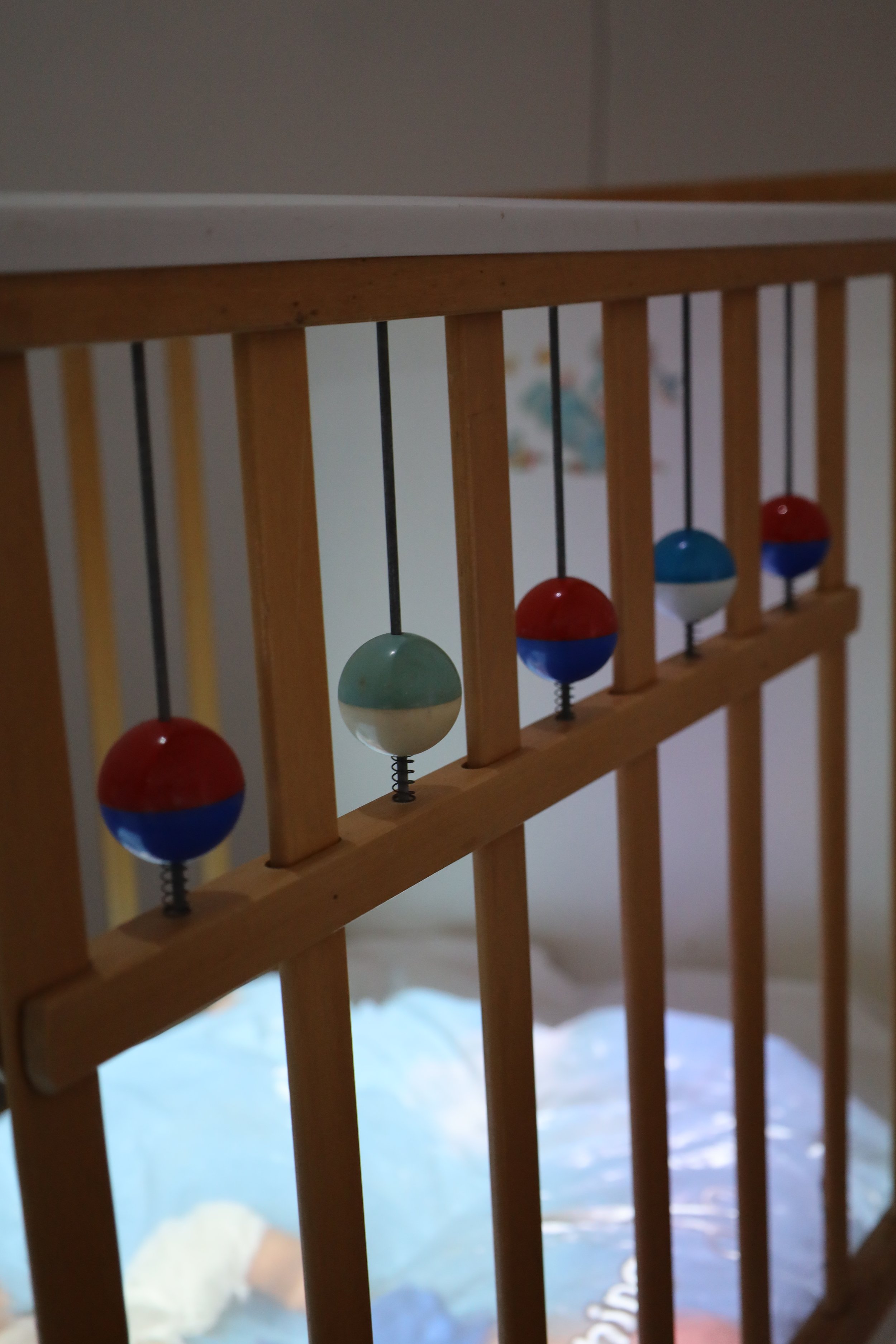 Doll operation, 2025