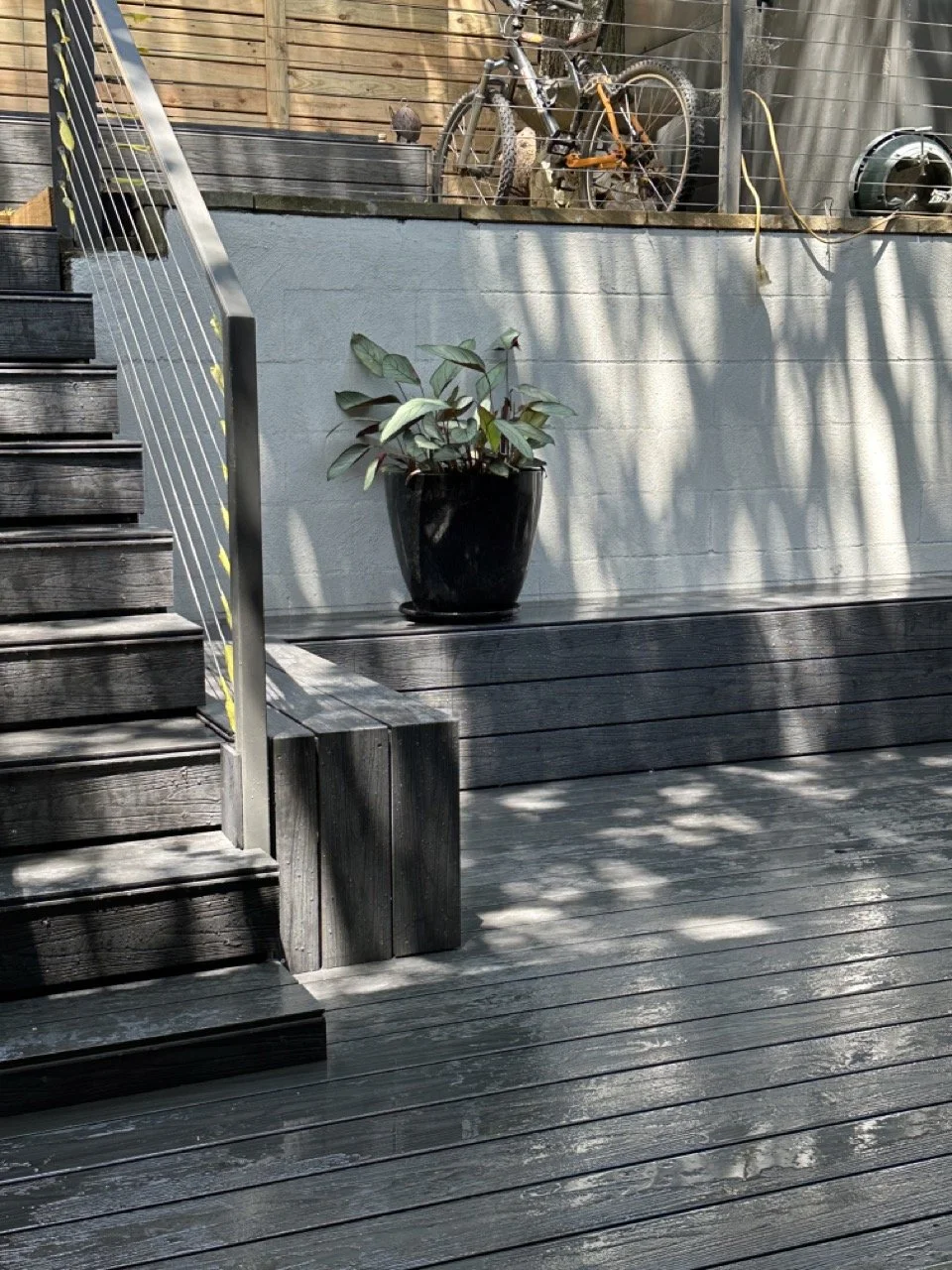 A potted plant with broad green leaves on a wooden deck near stairs with metal railing. Shadows of tree branches cast on the deck. In the background, a wooden fence with a bicycle hanging on it.