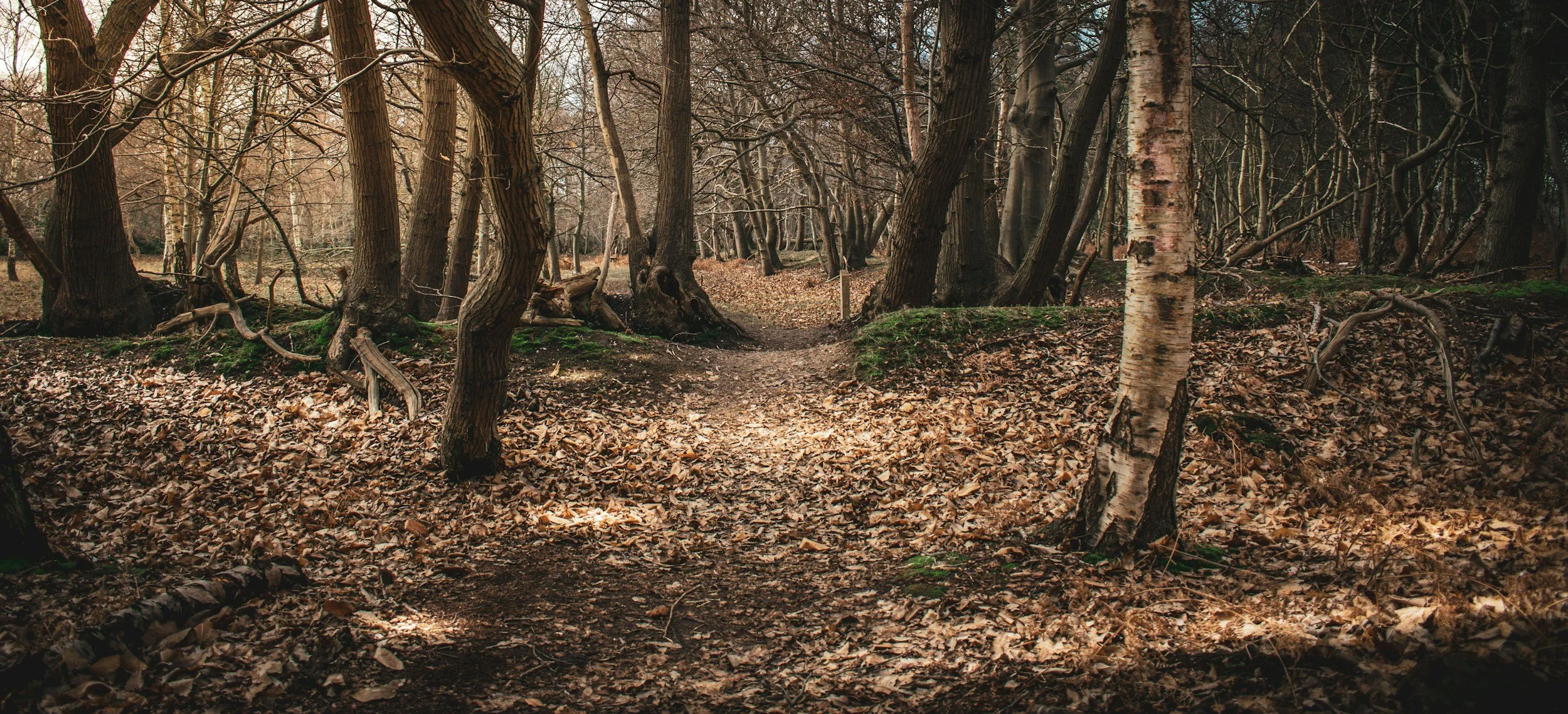 unsplash-image-DAOXI14Irx8.jpg