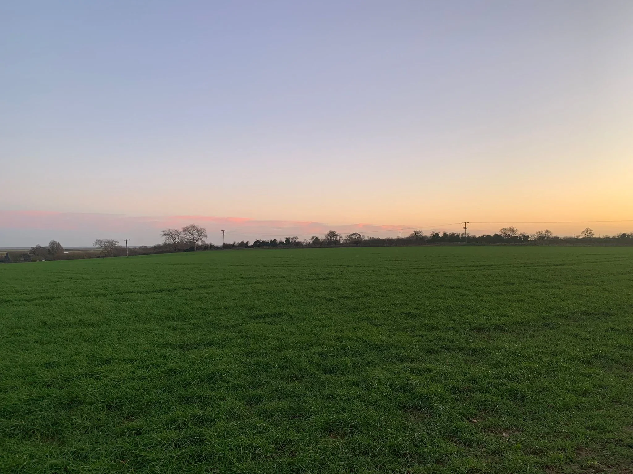 Rye 