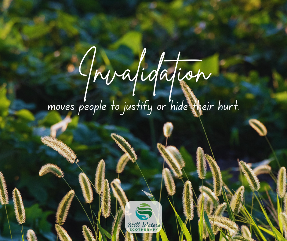 Validation &amp; The Justice Need (3)