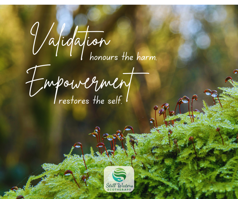 Validation &amp; The Justice Need (4) 