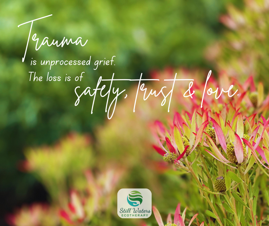 Validation &amp; The Justice Need (5)