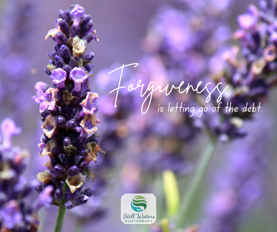 Validation &amp; The Justice Need (6)