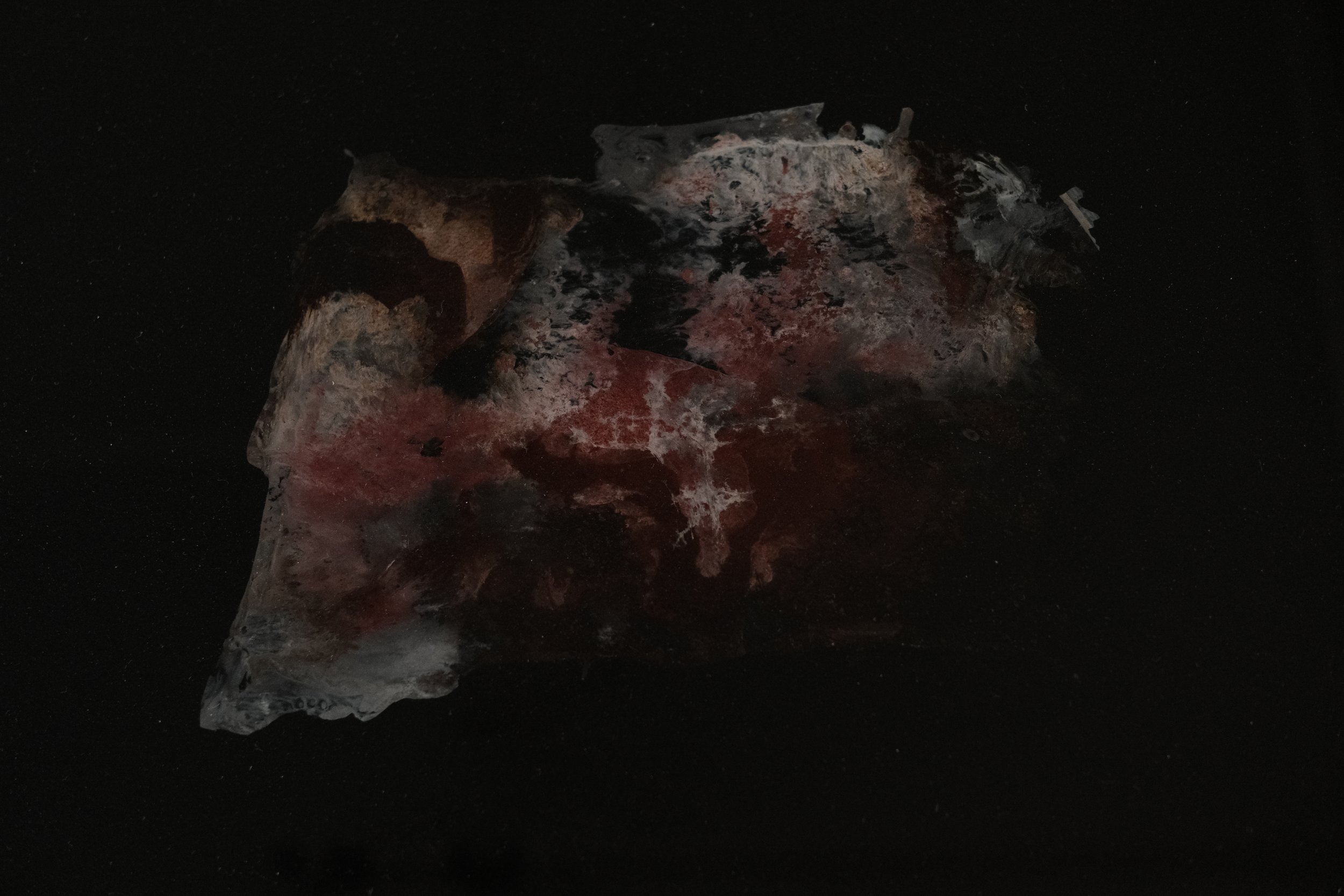 Schlachtplatte in einer transparenten Verpackung auf schwarzem Hintergrund.