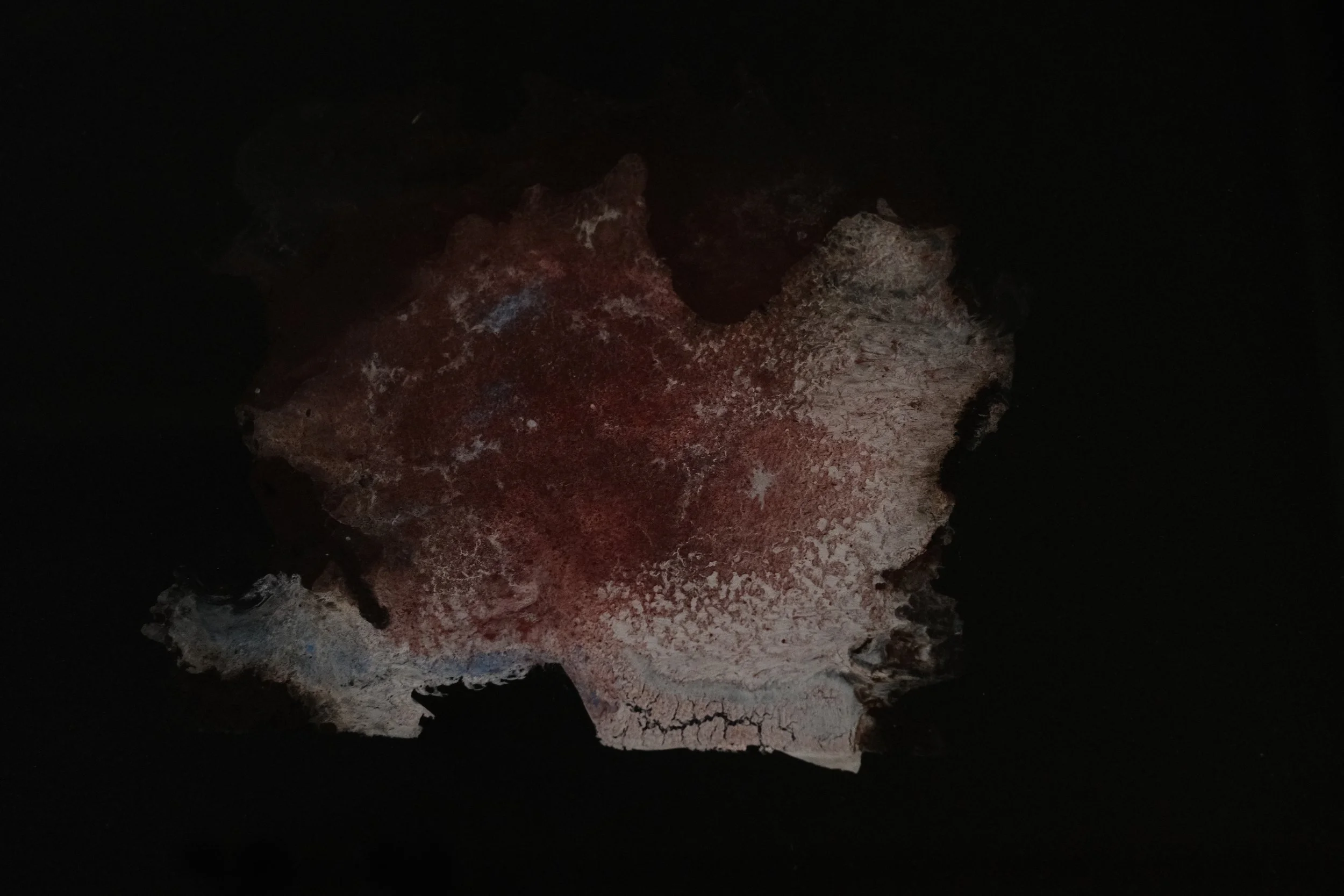 Ein dunkler Hintergrund mit einem knöchernen Fragment, das rötliche und weiße Flecken aufweist.