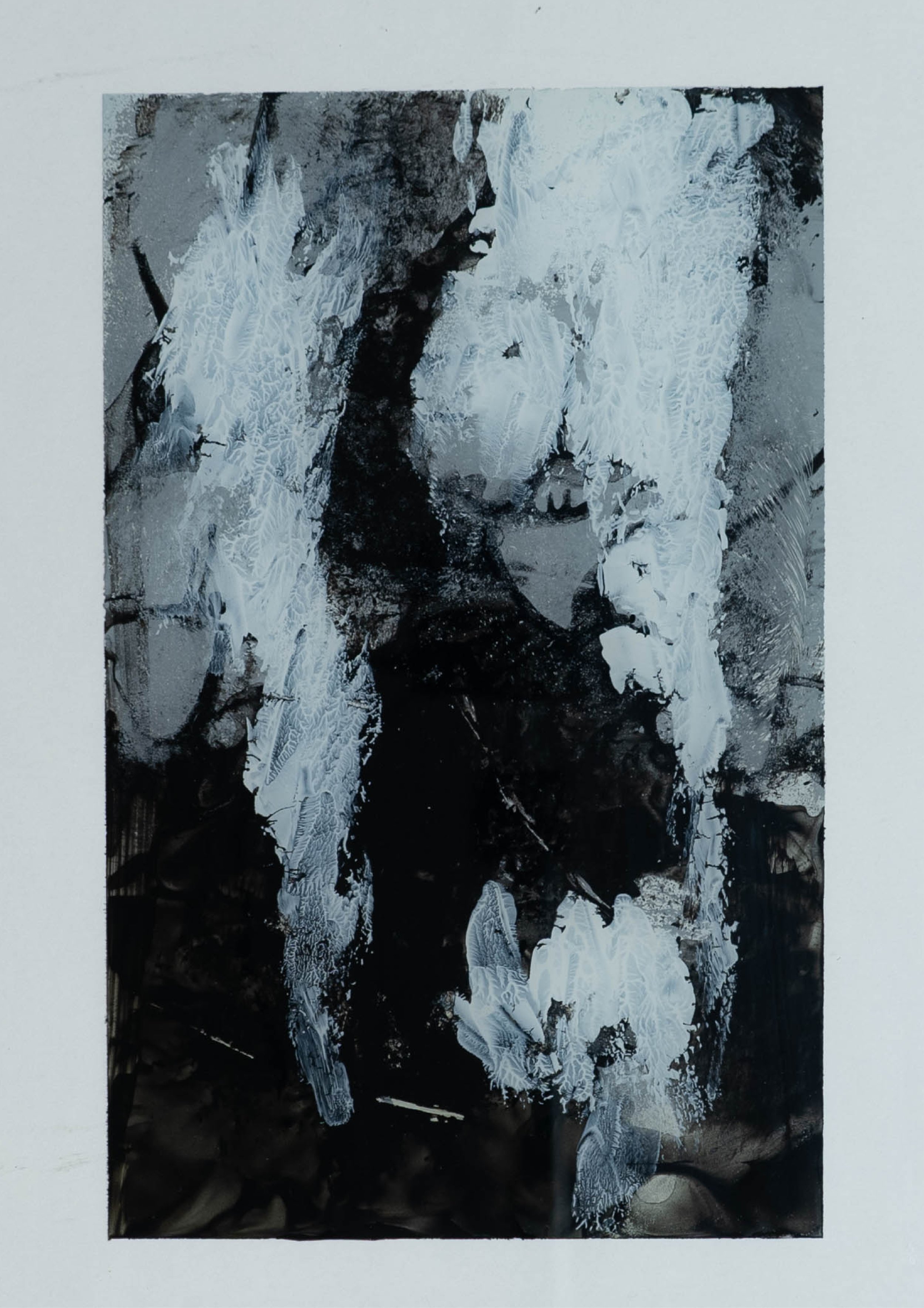 Schwarz-weiße abstrakte Kunst mit floralen und menschlichen Elementen, teilweise durch frostartige Texturen verdeckt.