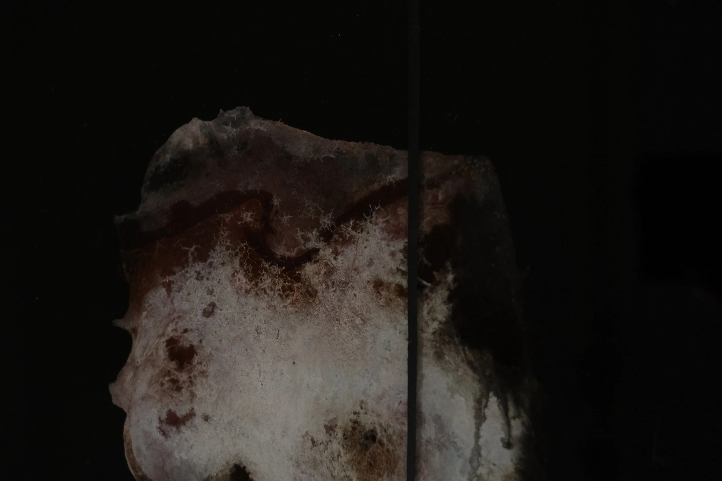 Ein unregelmäßig geformter, versteinert wirkender Gegenstand vor schwarzem Hintergrund.