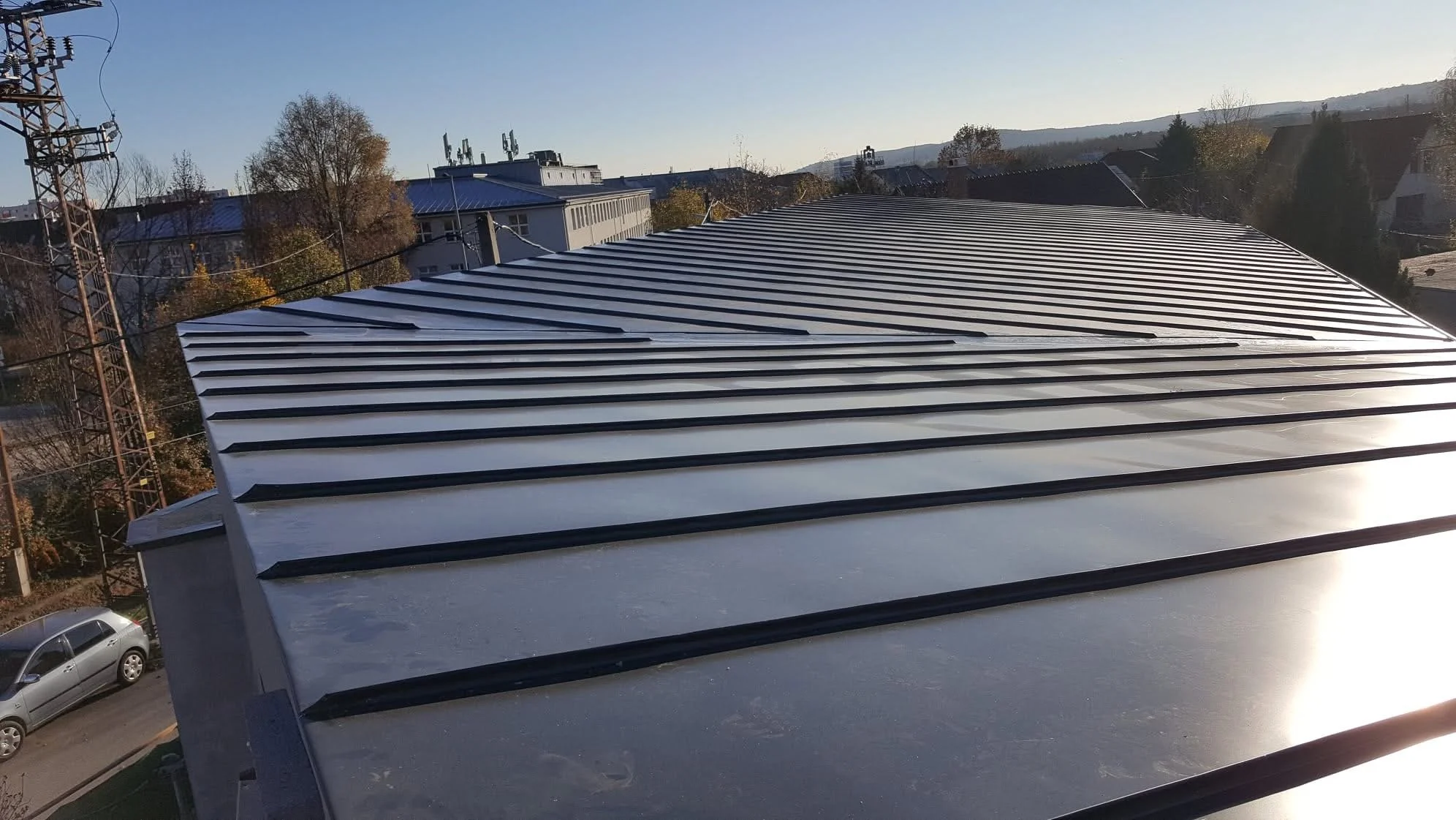 Metal roof with standing seam panels on a building in a suburban area during daytime, with trees, other buildings, and a clear sky in the background.