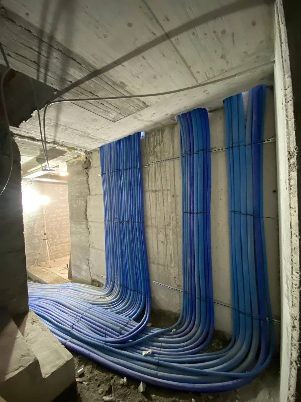 photo_2025-11-26 20.03.10.jpeg