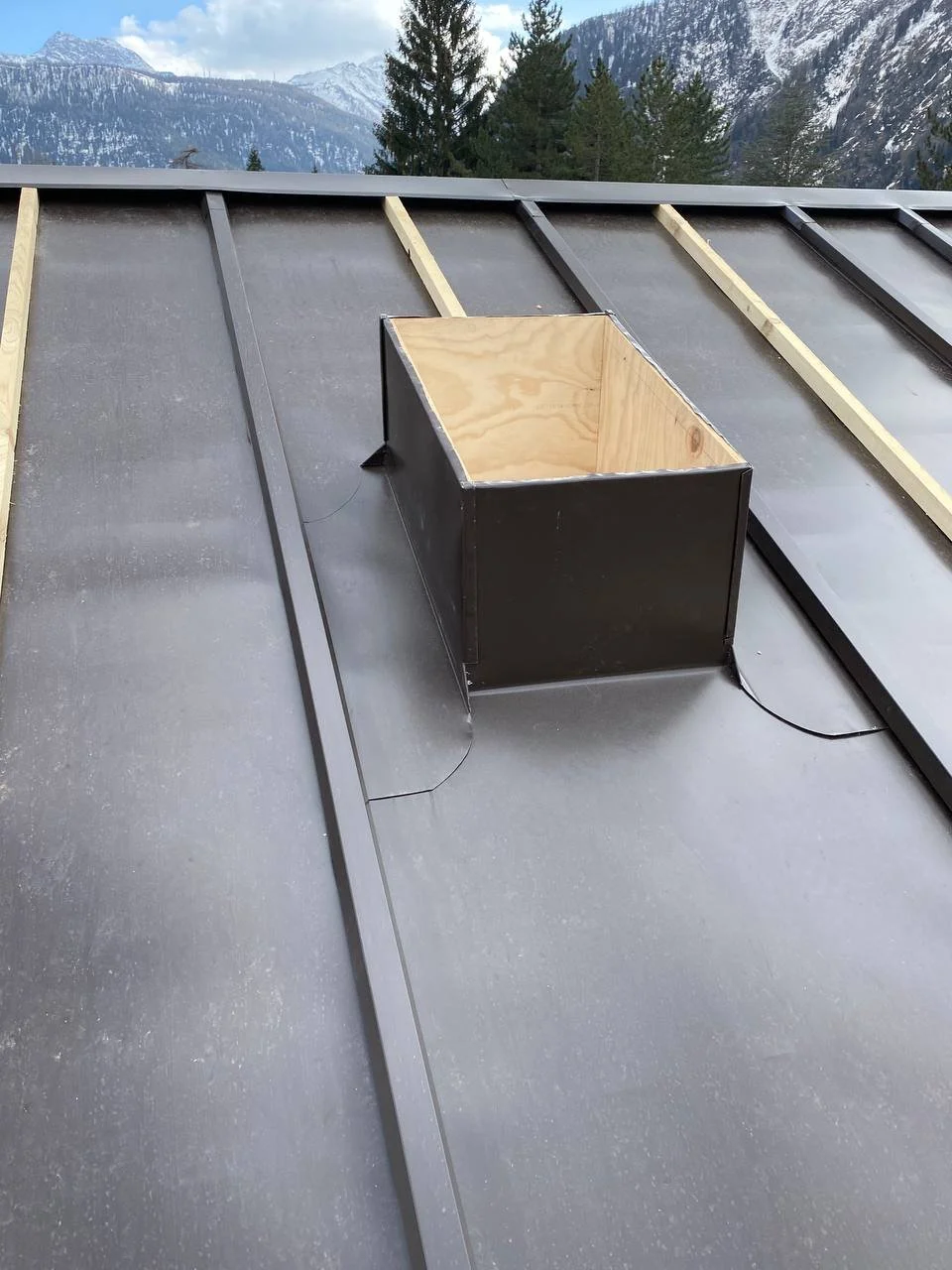 photo_2026-01-16 21.32.23.jpeg