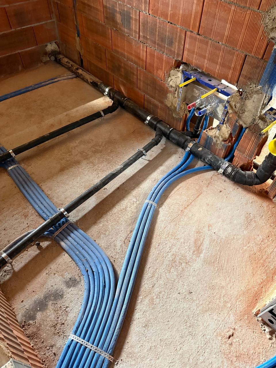 photo_2025-12-02 20.25.20.jpeg