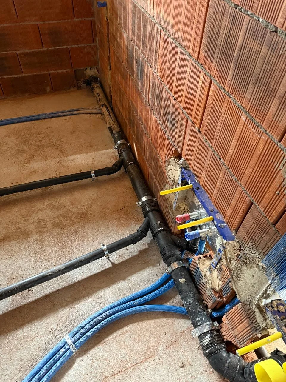 photo_2025-12-02 20.25.30.jpeg