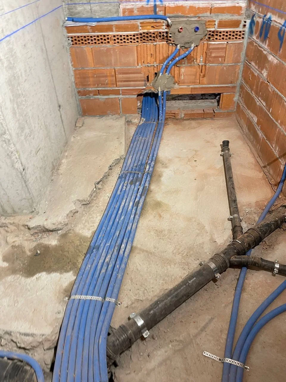 photo_2026-01-16 21.24.48.jpeg