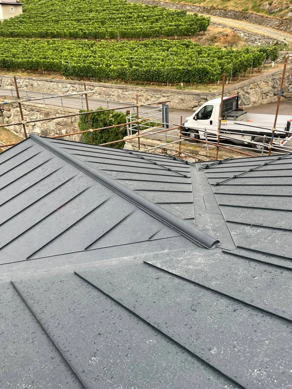 photo_2025-12-02 19.27.52.jpeg