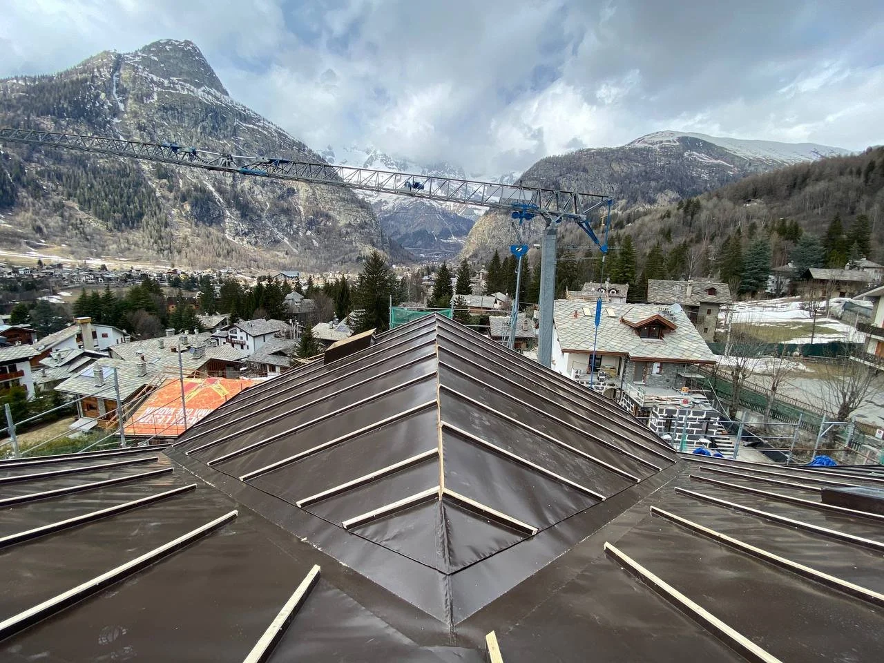 photo_2026-01-16 21.33.23.jpeg