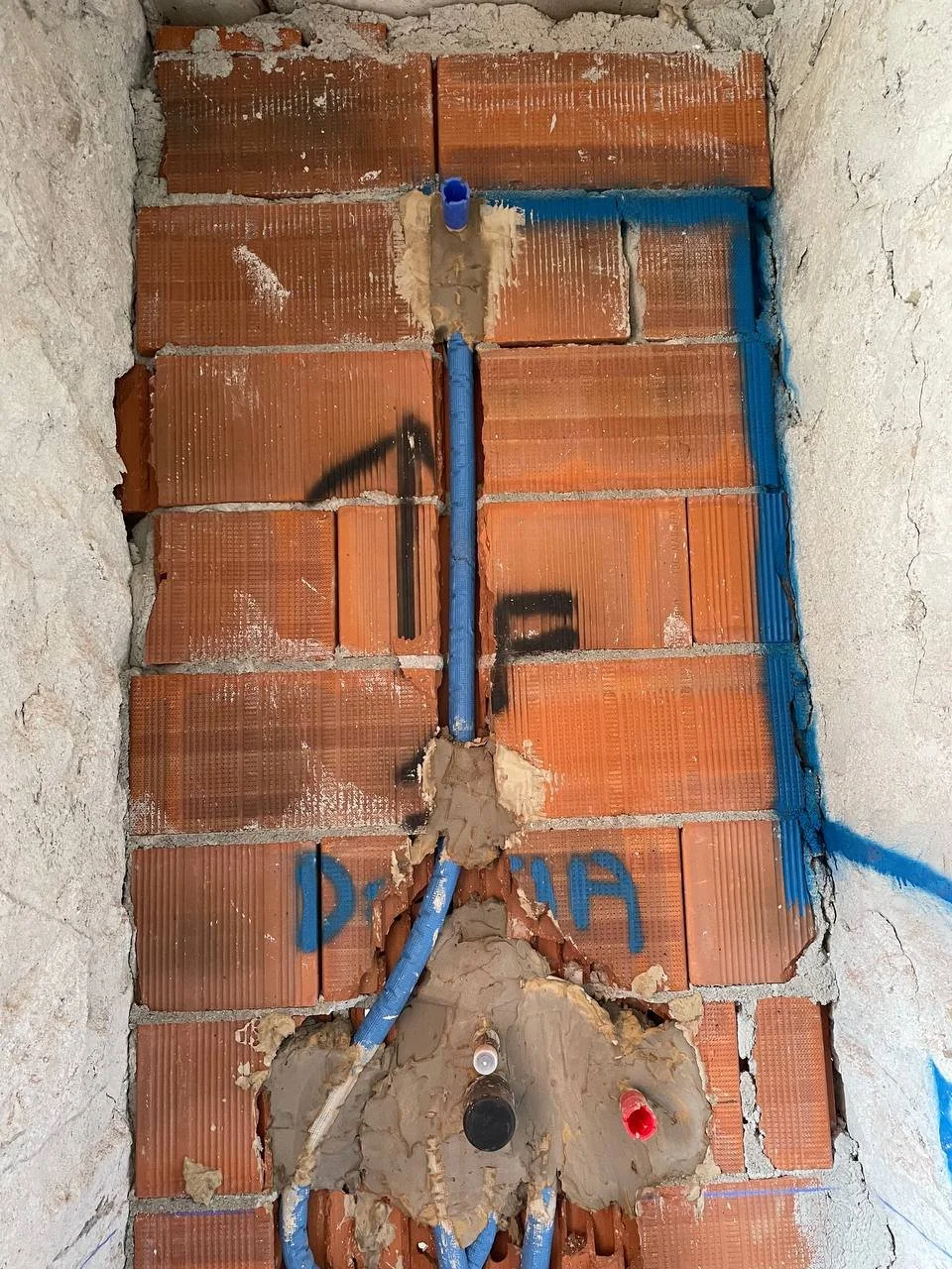 photo_2026-01-16 21.24.23.jpeg