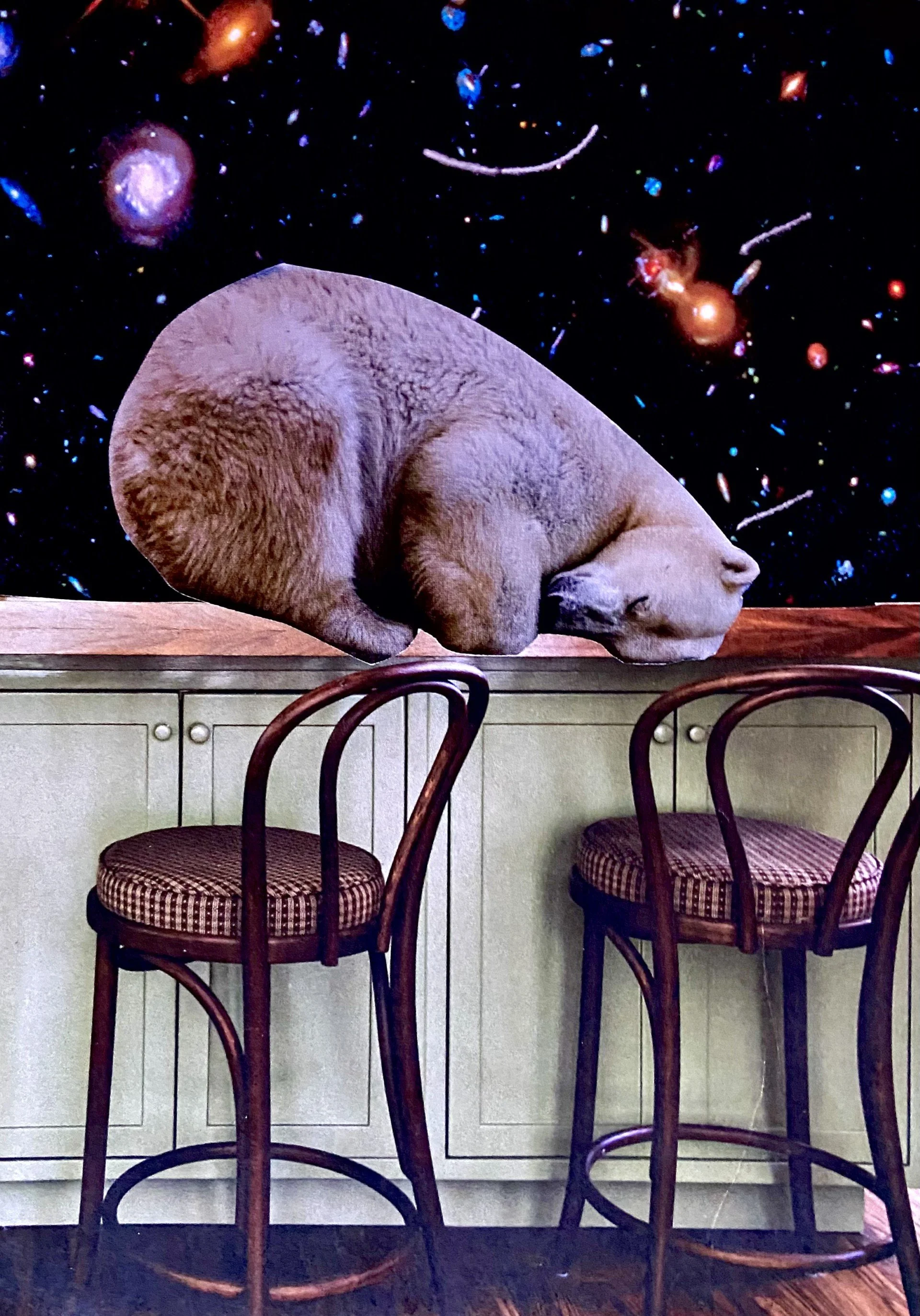 Dont Wake The Bear.jpg