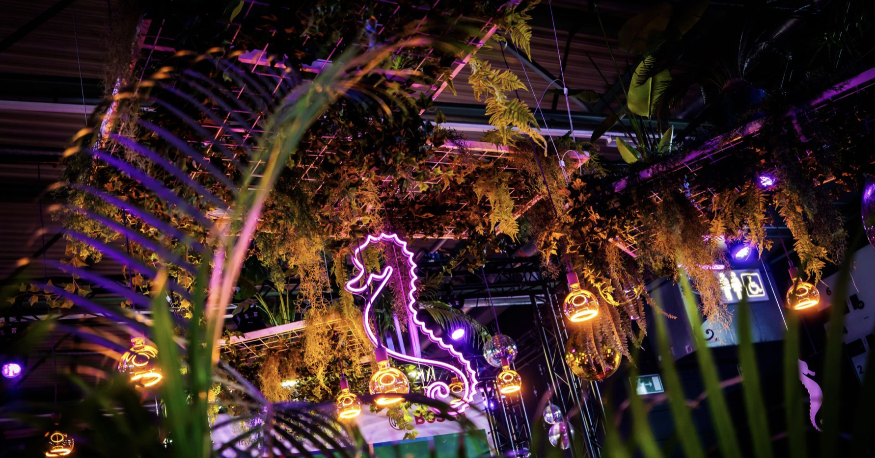 HiPPO Nights by Van Marcke