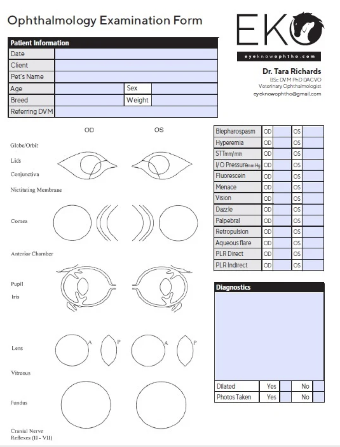Ophthalmic Examination Sheet