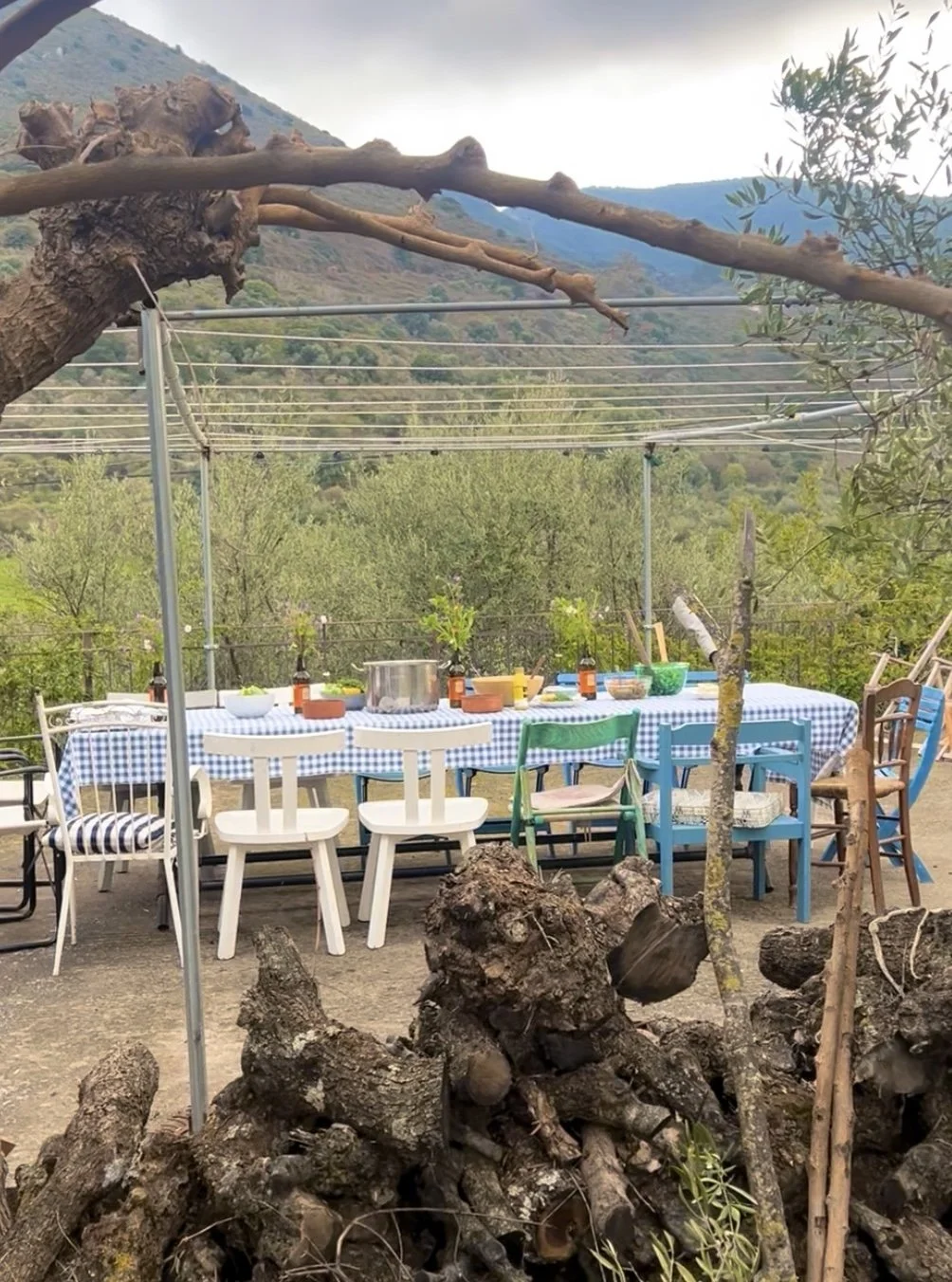 Table setting at a potluck bbq dinner