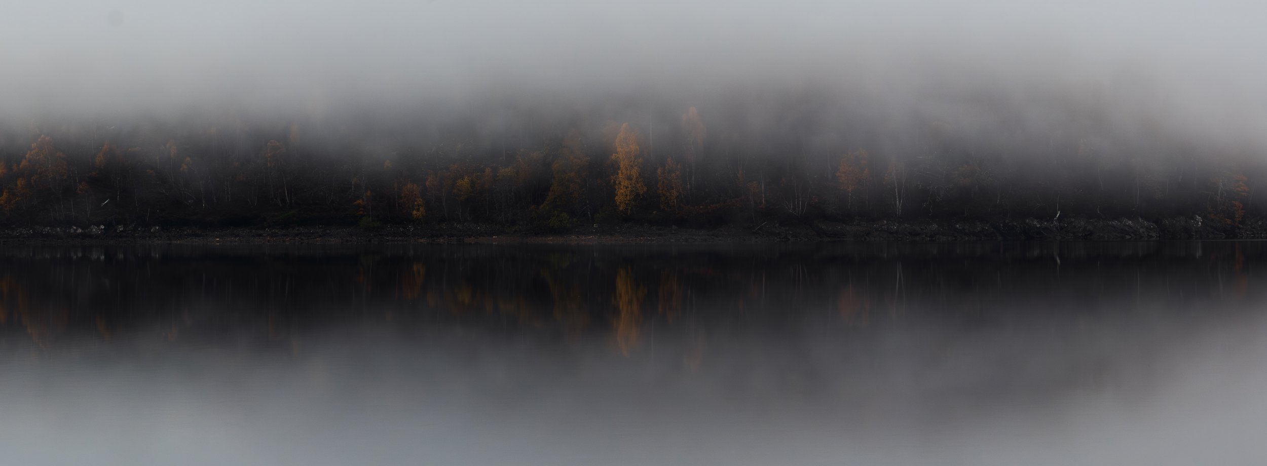 Woodland disappearing into the fog over Loch Garry.