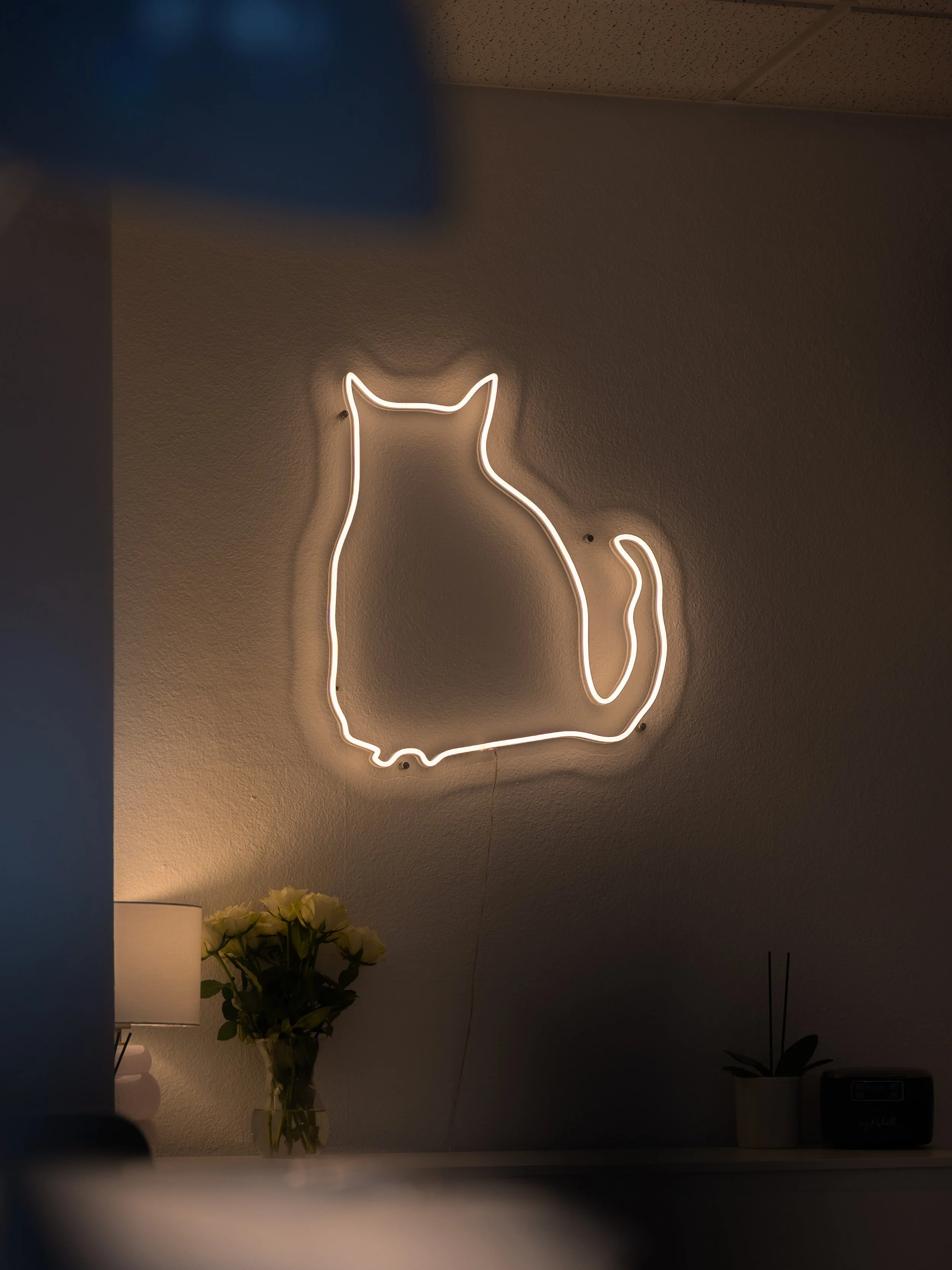 The Nine Lives Studio sign illuminated.