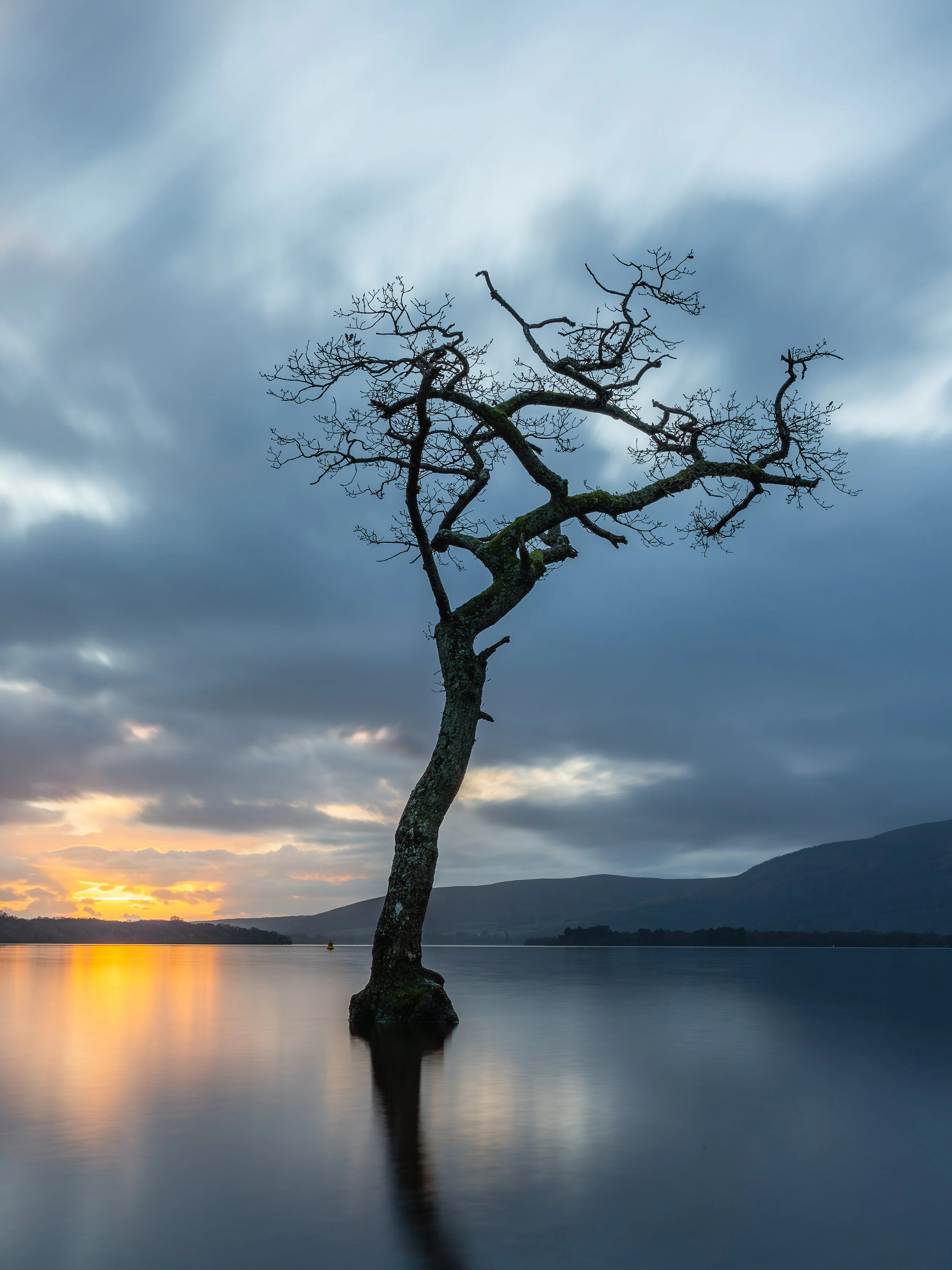 The Lone Tree at Milarrochy Bay at sunset.