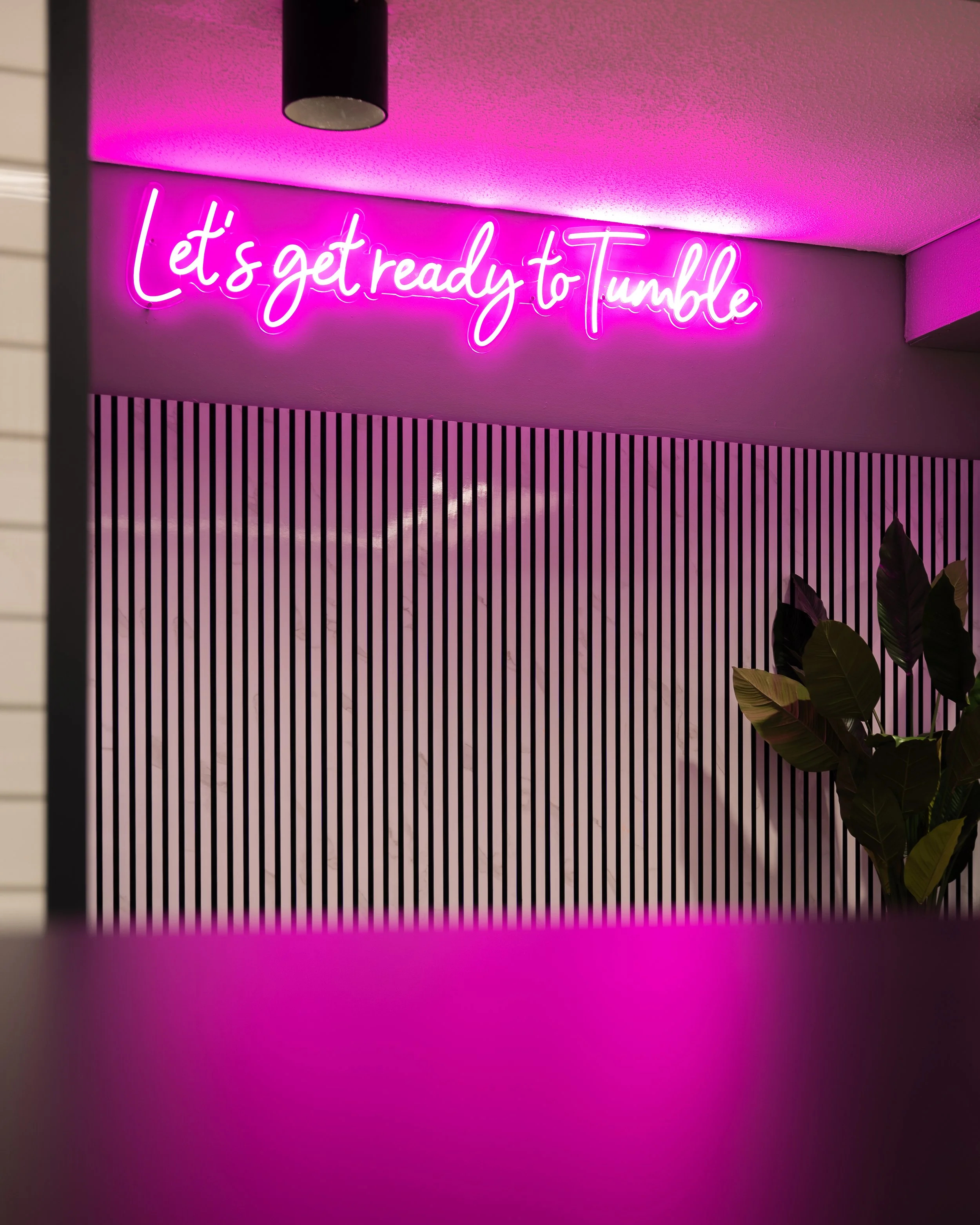 Pink neon sign that says "Let's get ready to Tumble" on a wall with vertical black and white stripes, next to a green plant.